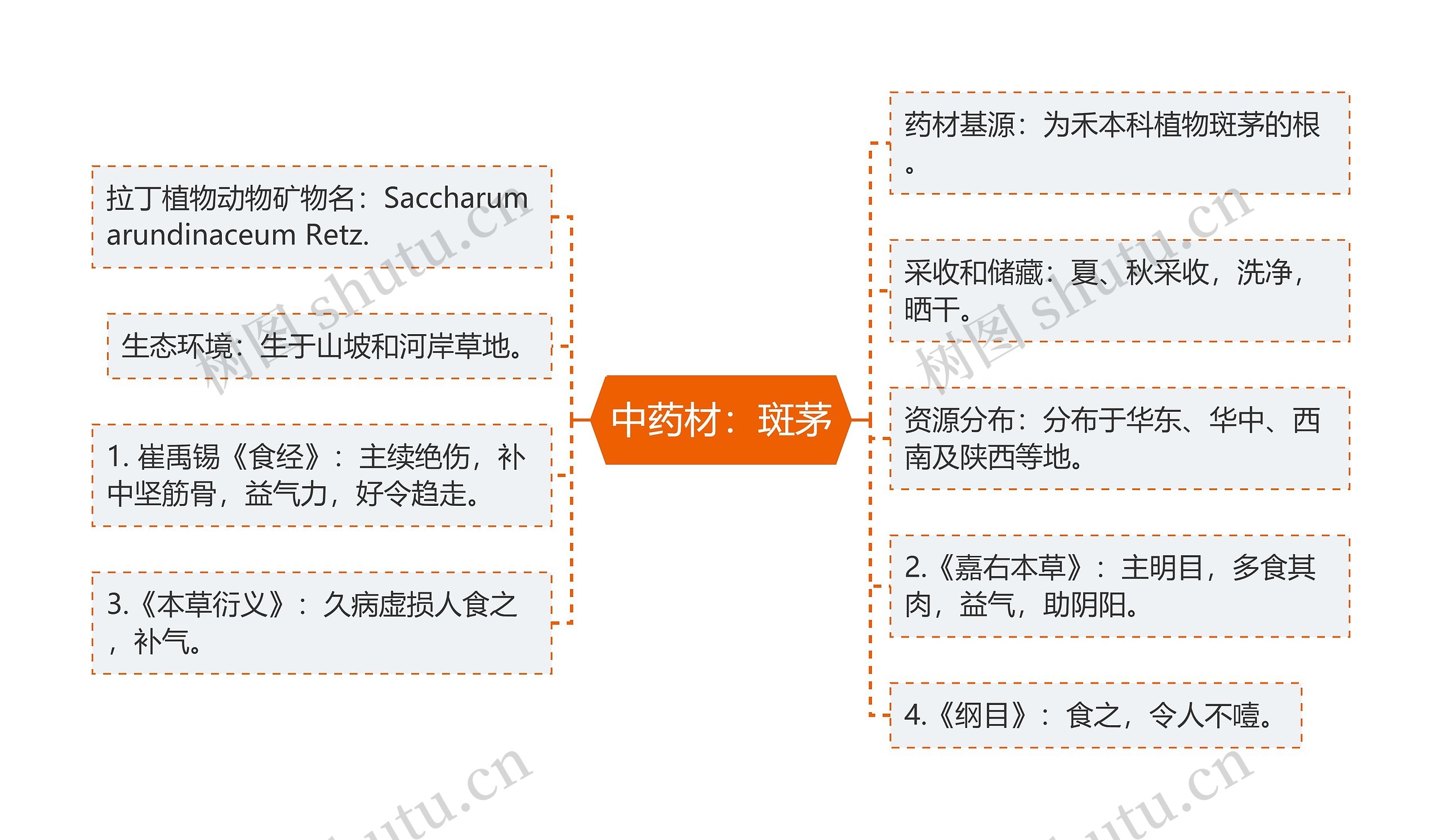 中药材：斑茅思维导图