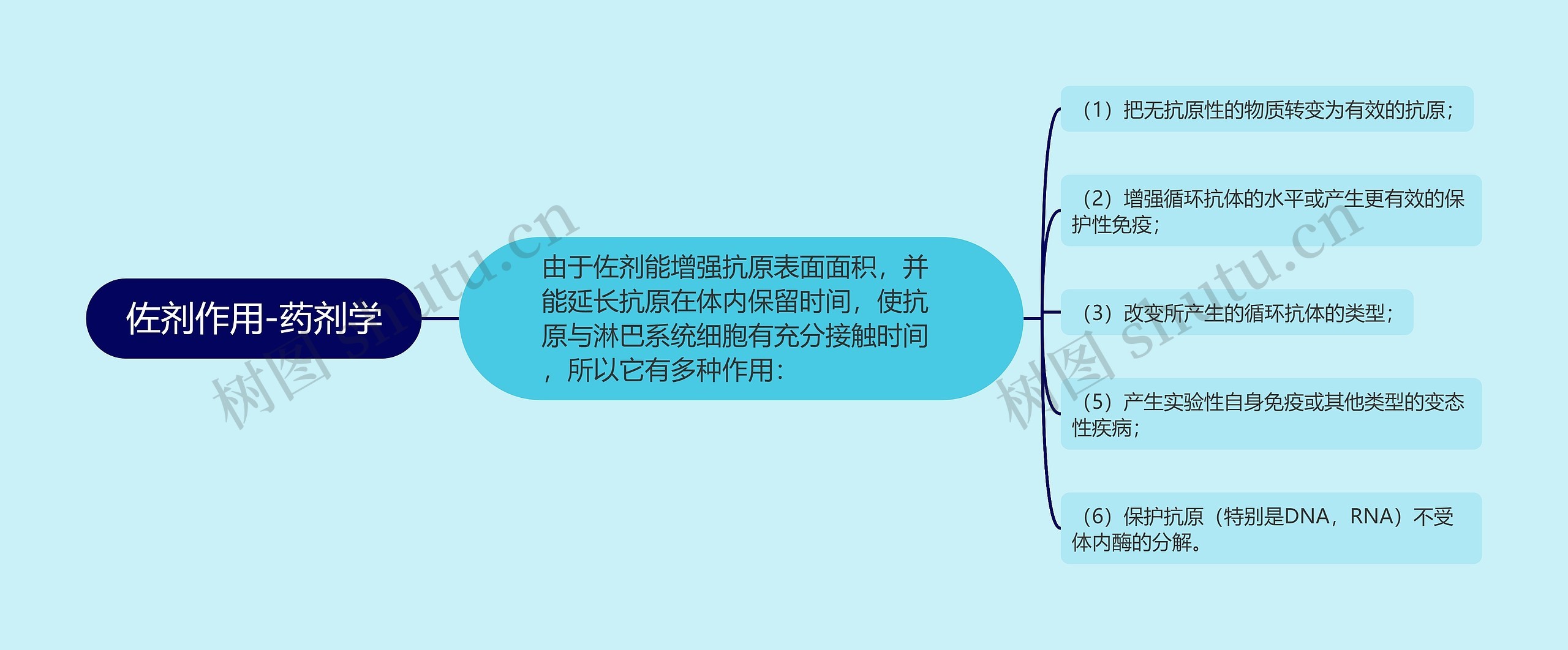 佐剂作用-药剂学思维导图