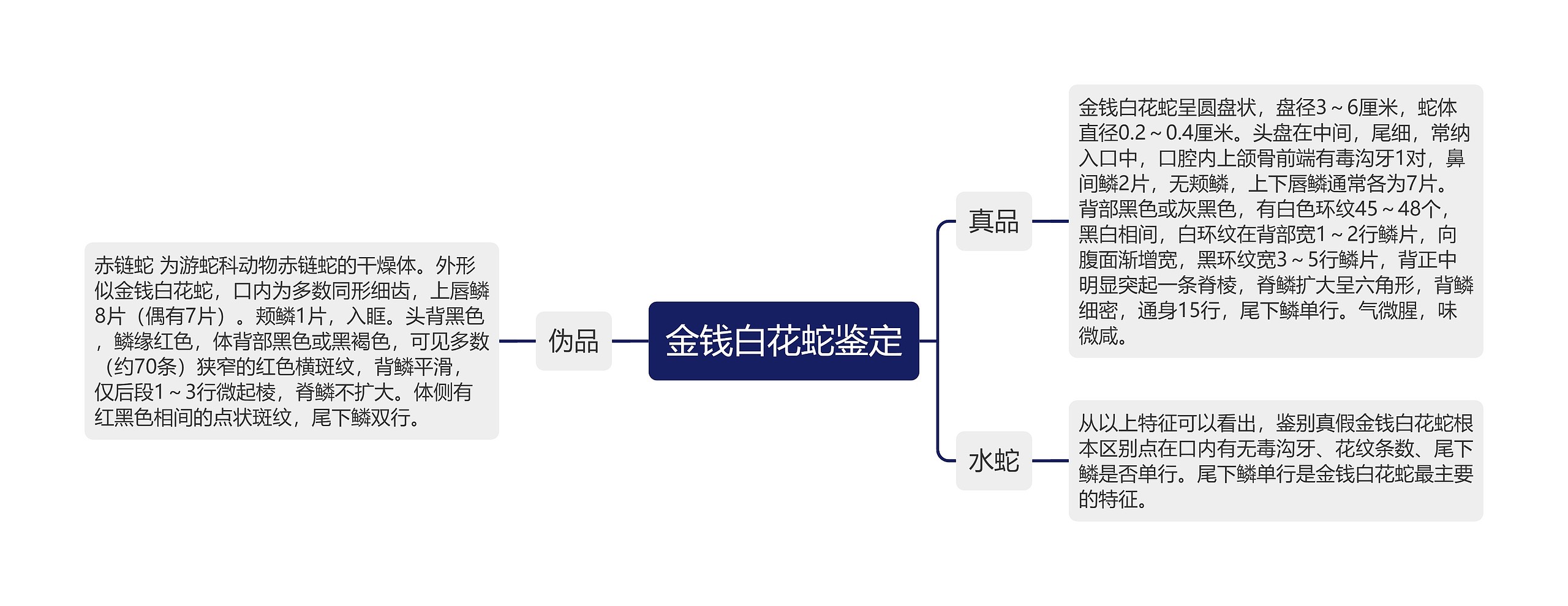 金钱白花蛇鉴定思维导图