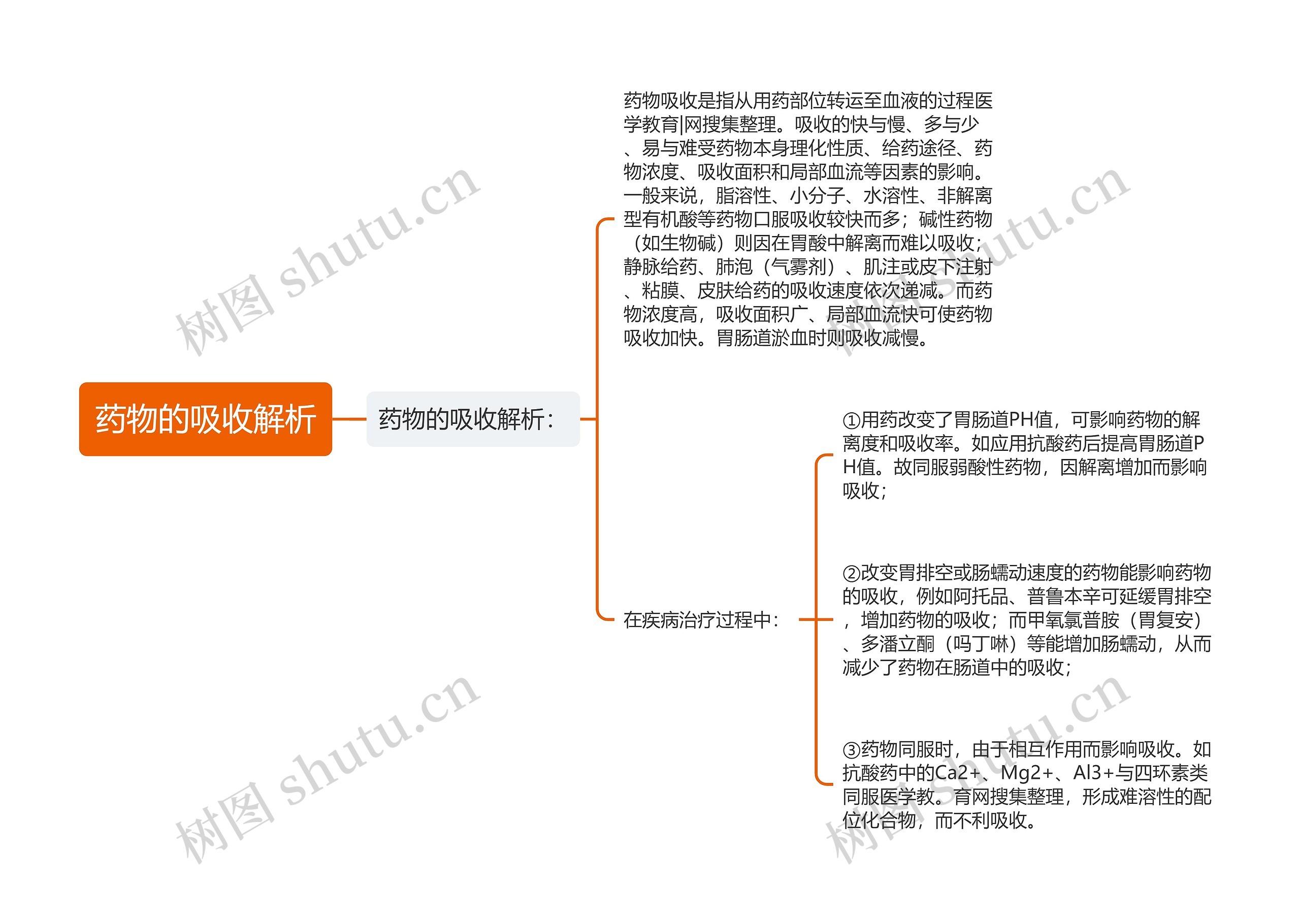 药物的吸收解析