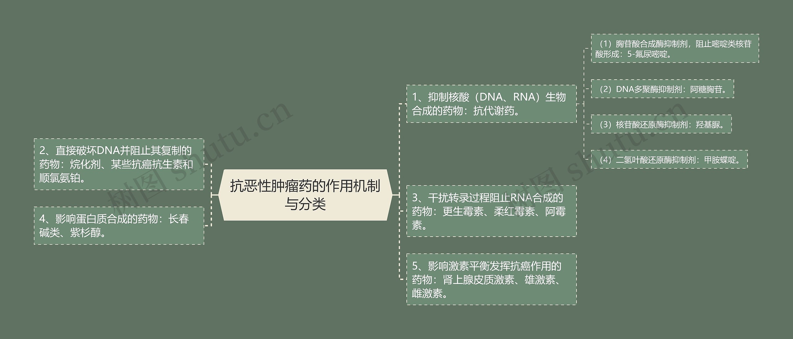 抗恶性肿瘤药的作用机制与分类 抗恶性肿瘤药的作用机制与分类