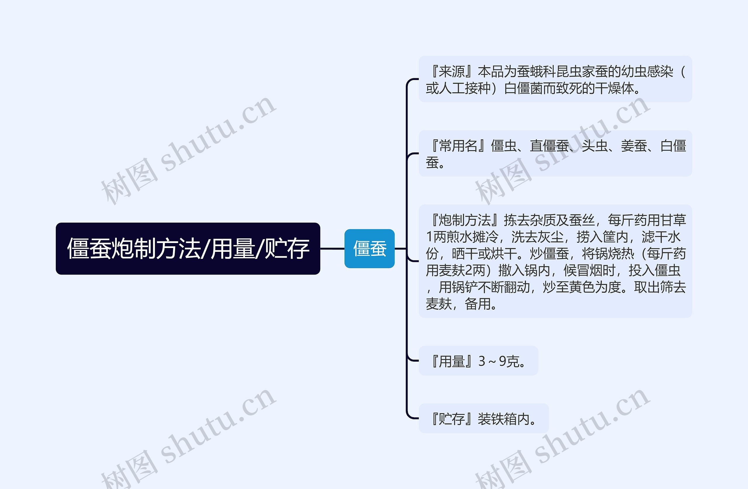 僵蚕炮制方法/用量/贮存思维导图