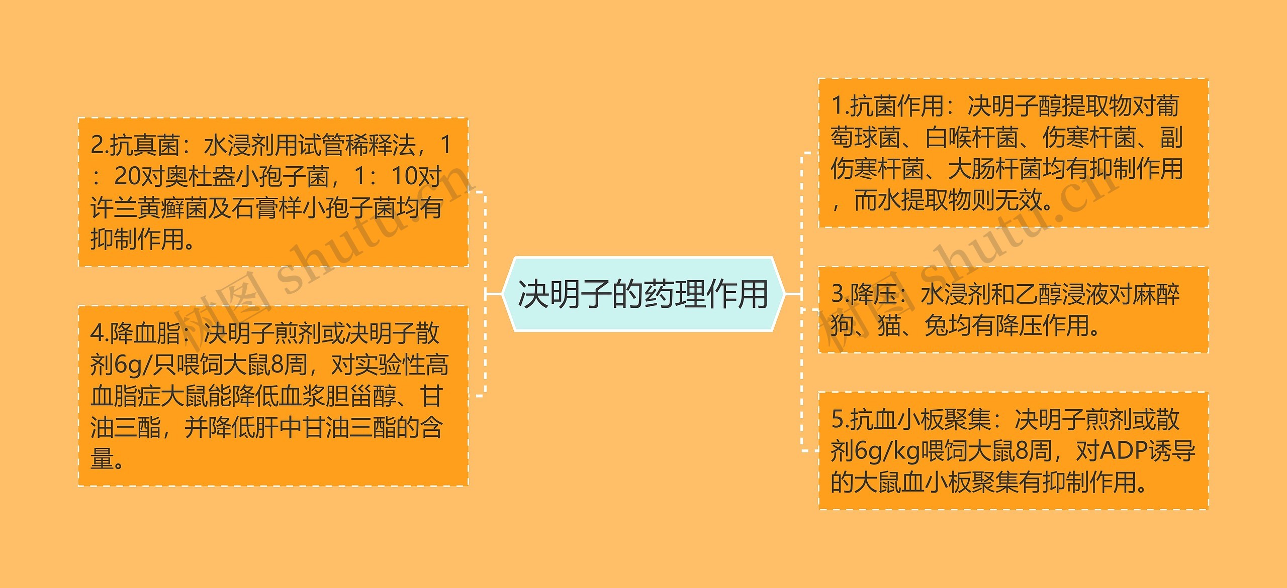 决明子的药理作用思维导图