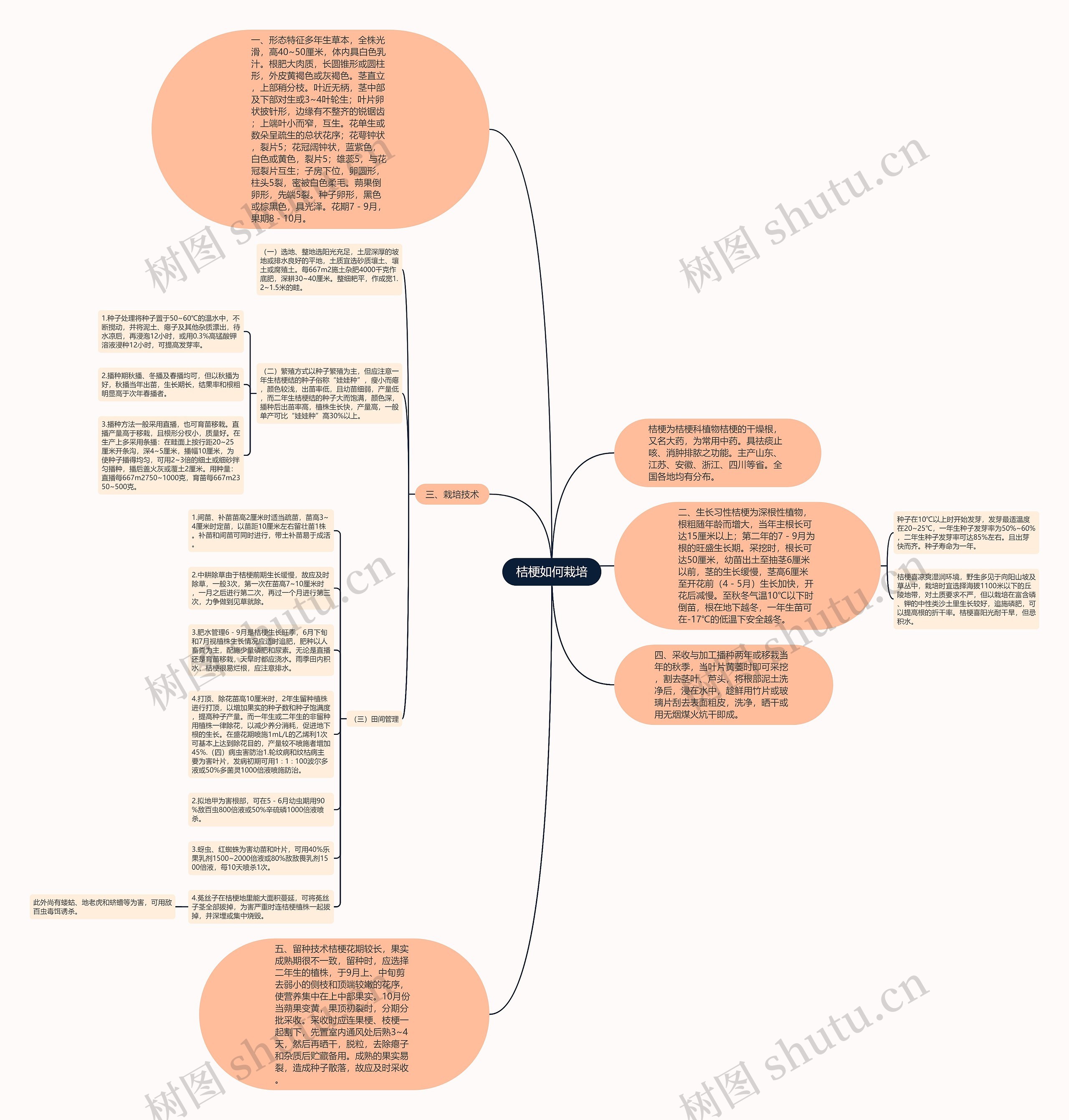 桔梗如何栽培思维导图