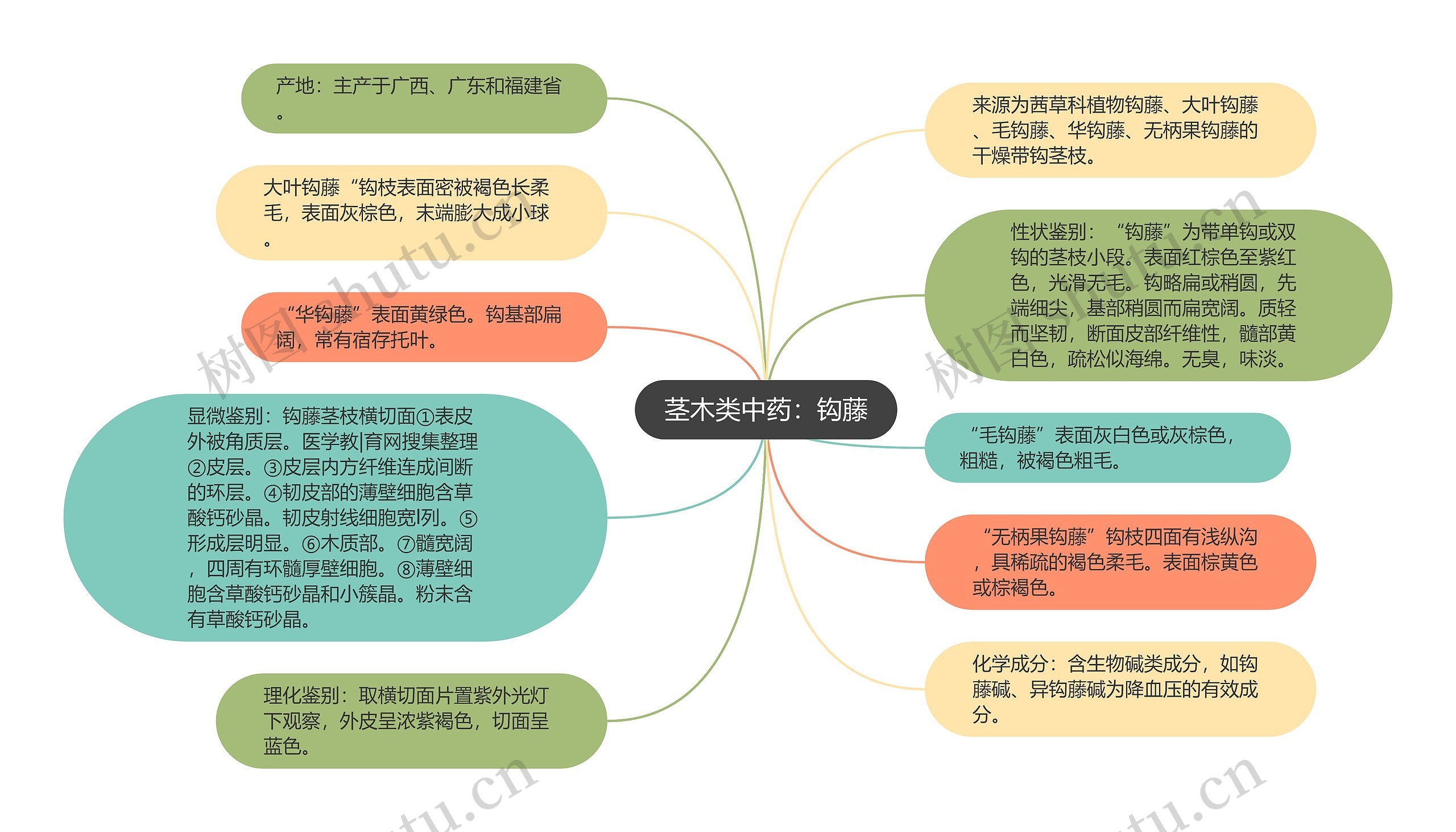 茎木类中药：钩藤思维导图