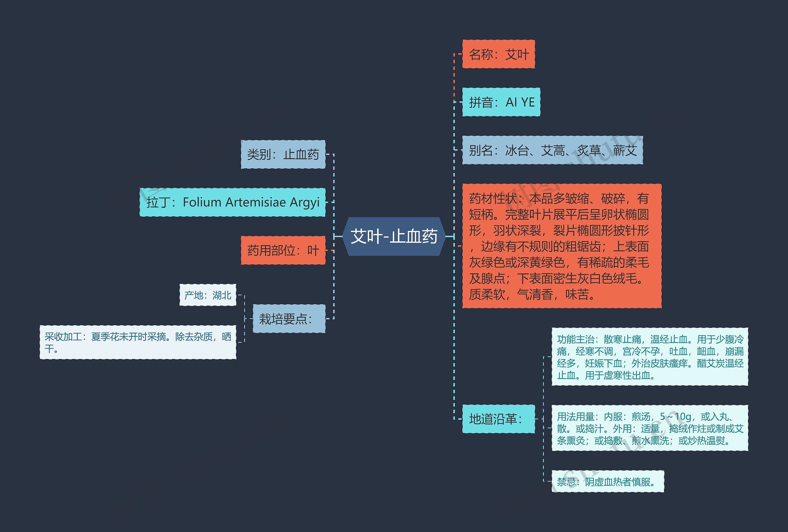 艾叶-止血药思维导图