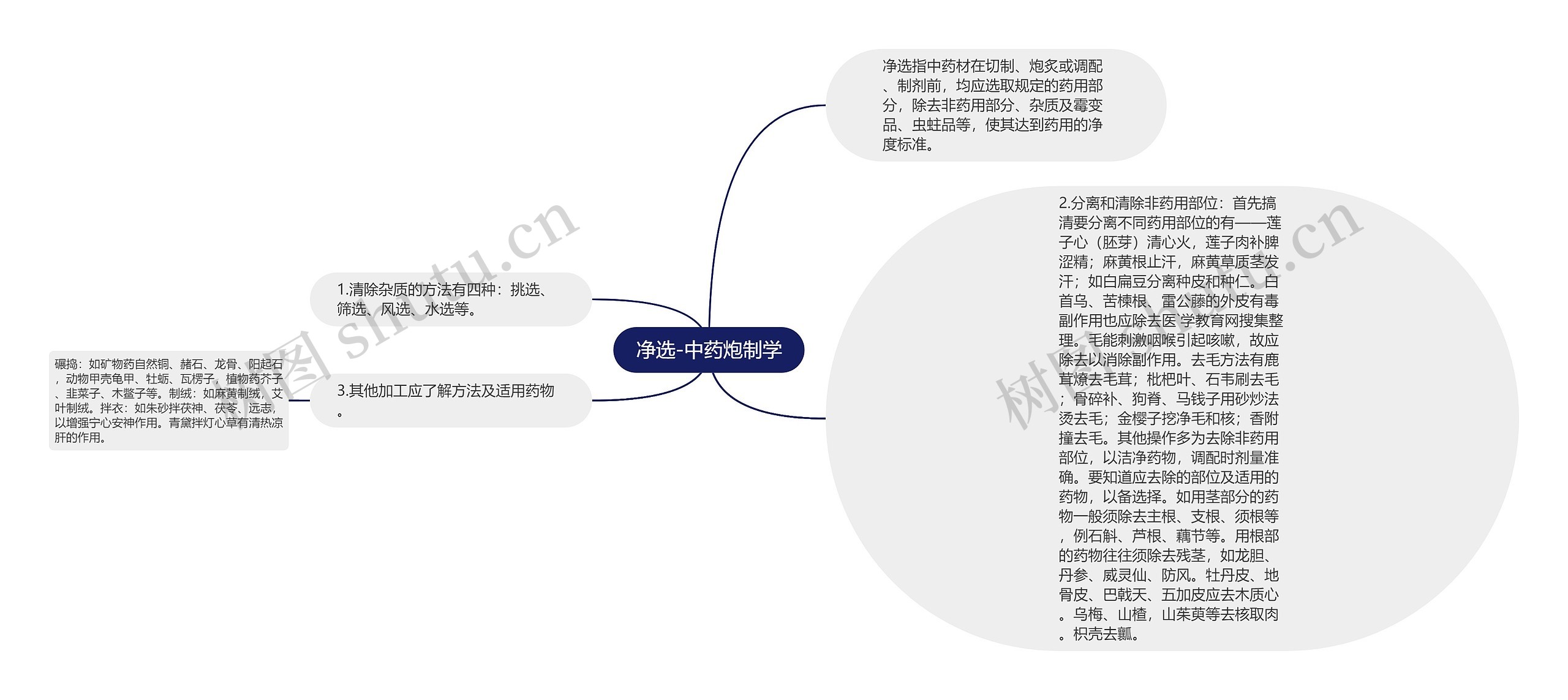 净选-中药炮制学思维导图