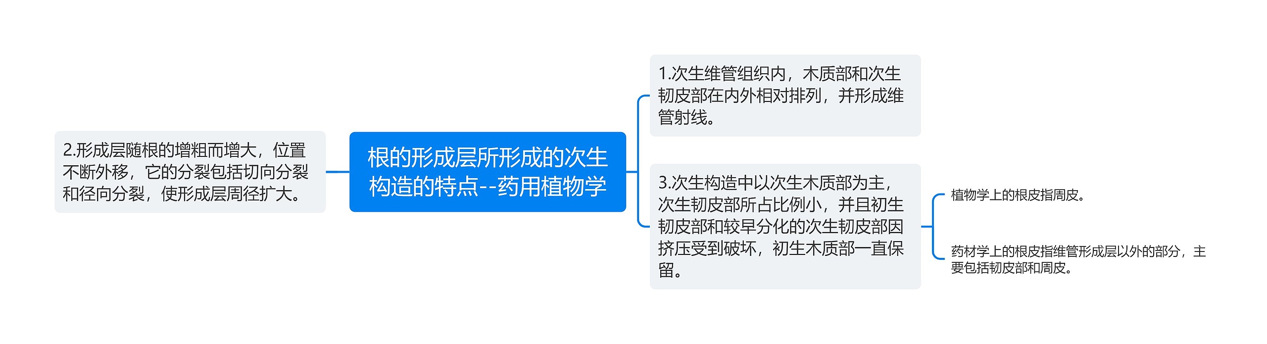 根的形成层所形成的次生构造的特点--药用植物学思维导图