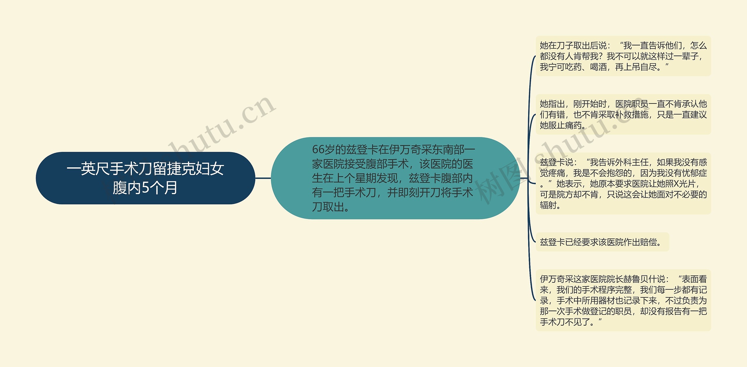 一英尺手术刀留捷克妇女腹内5个月思维导图