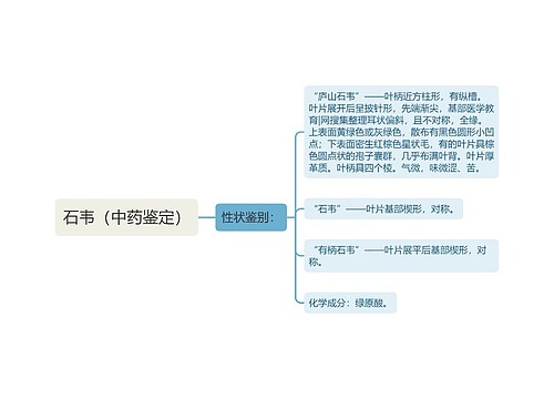 石韦（中药鉴定）思维导图