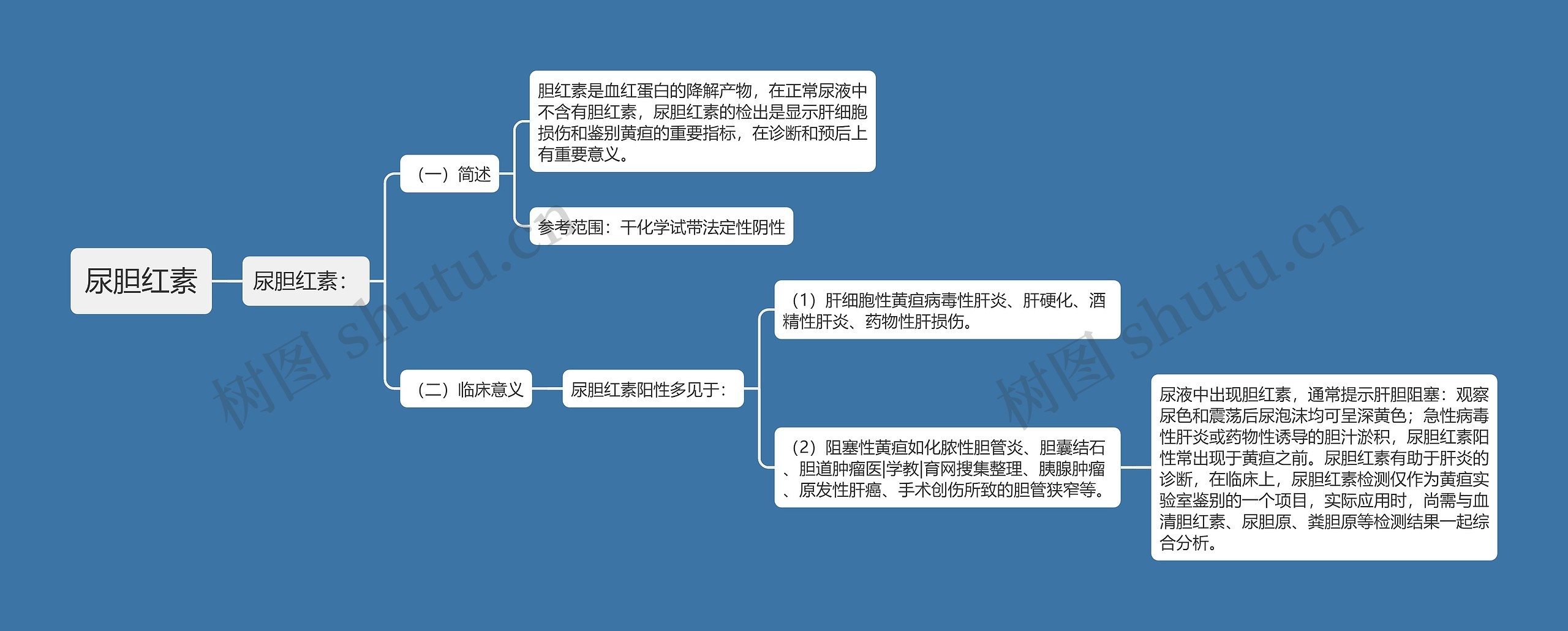 尿胆红素思维导图