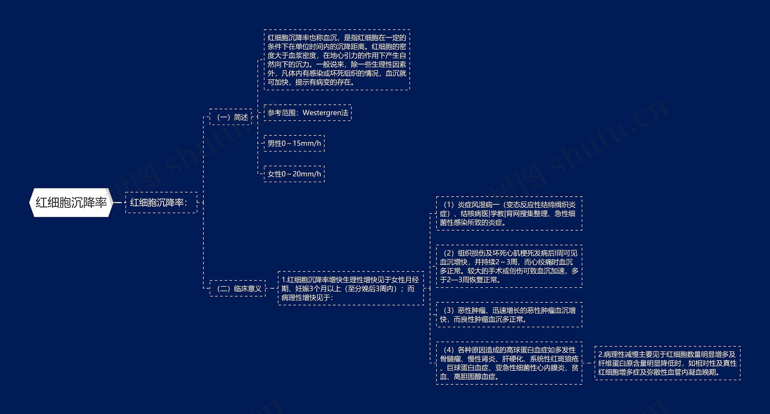 红细胞沉降率思维导图