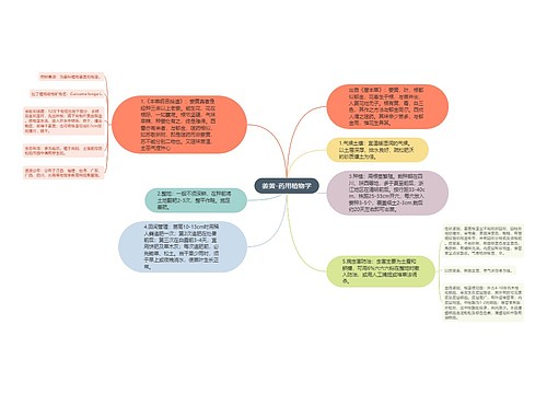 姜黄-药用植物学思维导图