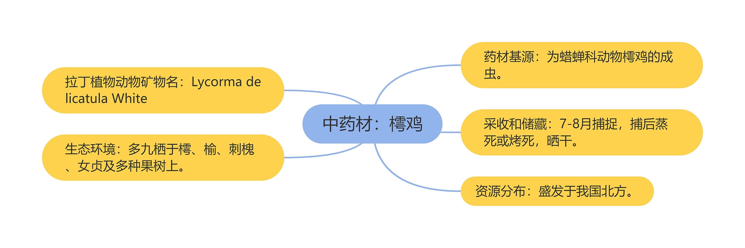 中药材：樗鸡思维导图