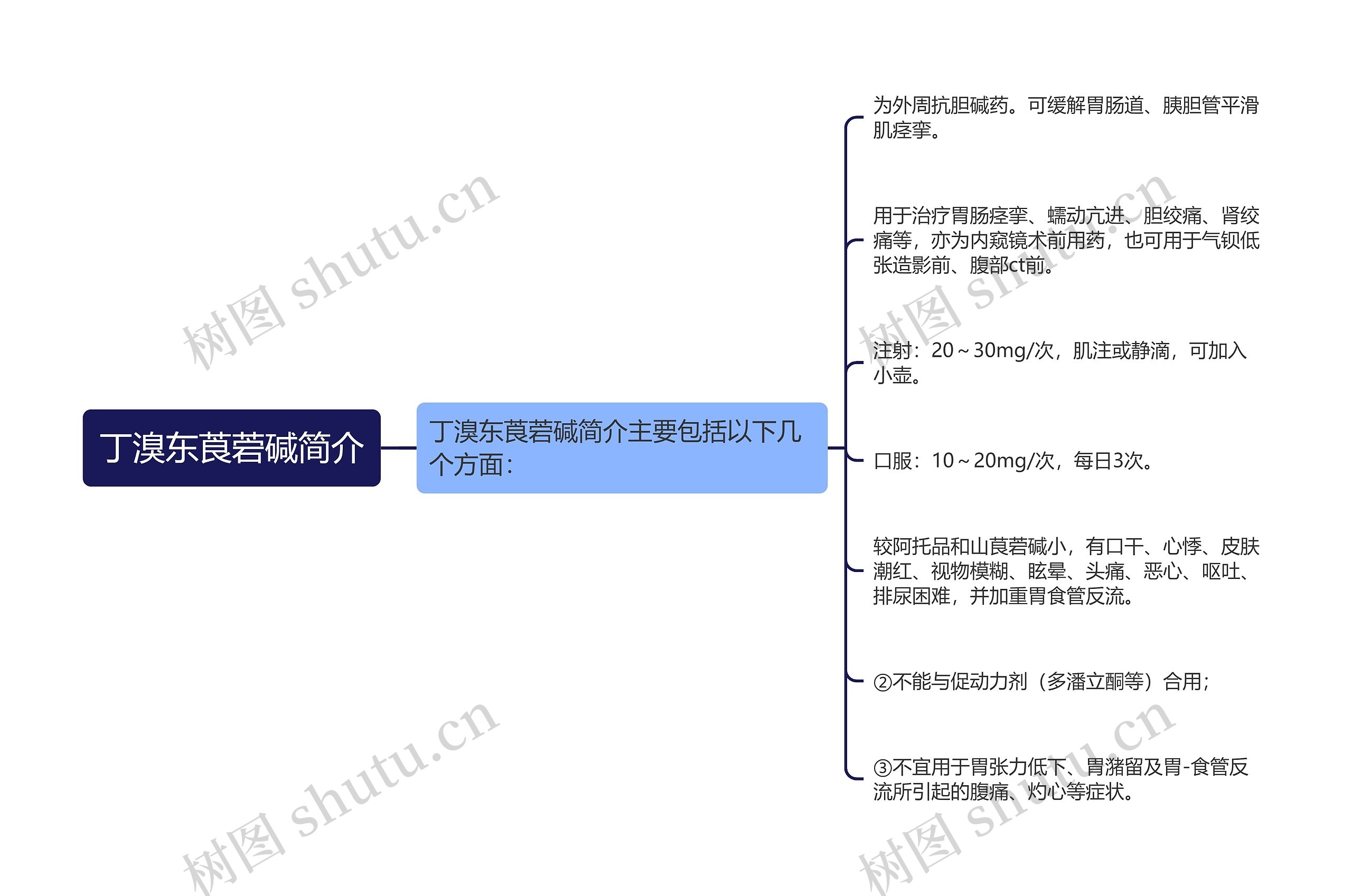 丁溴东莨菪碱简介思维导图