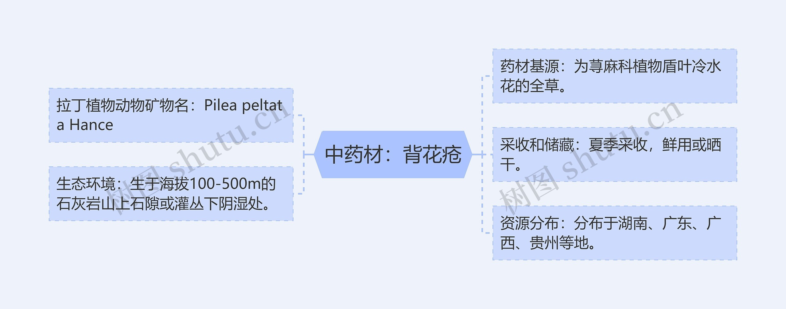 中药材：背花疮思维导图