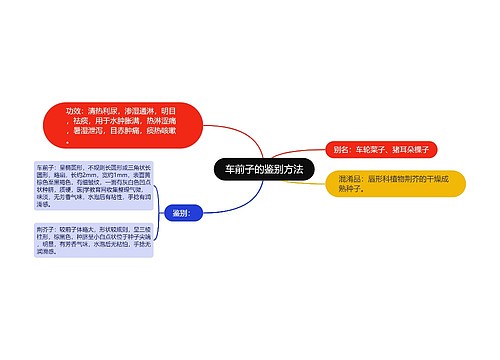 车前子的鉴别方法