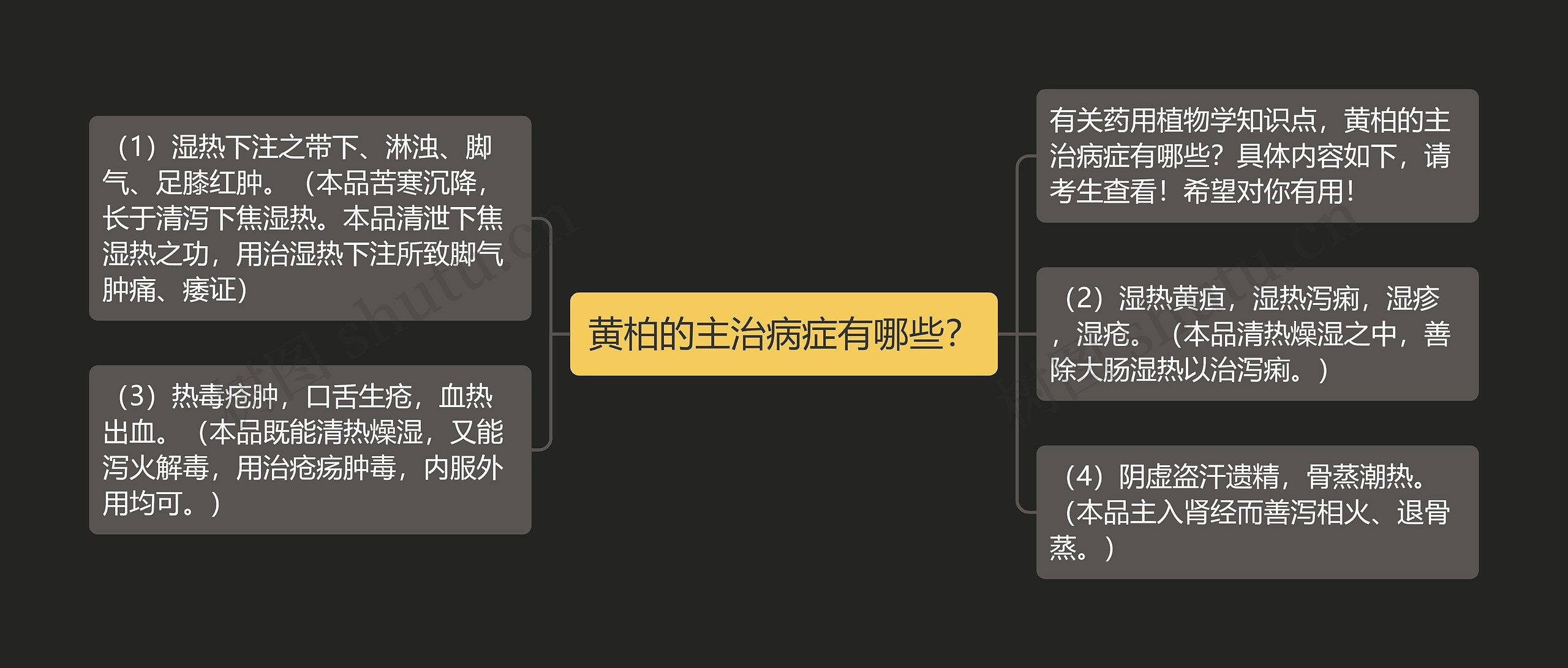 黄柏的主治病症有哪些？
