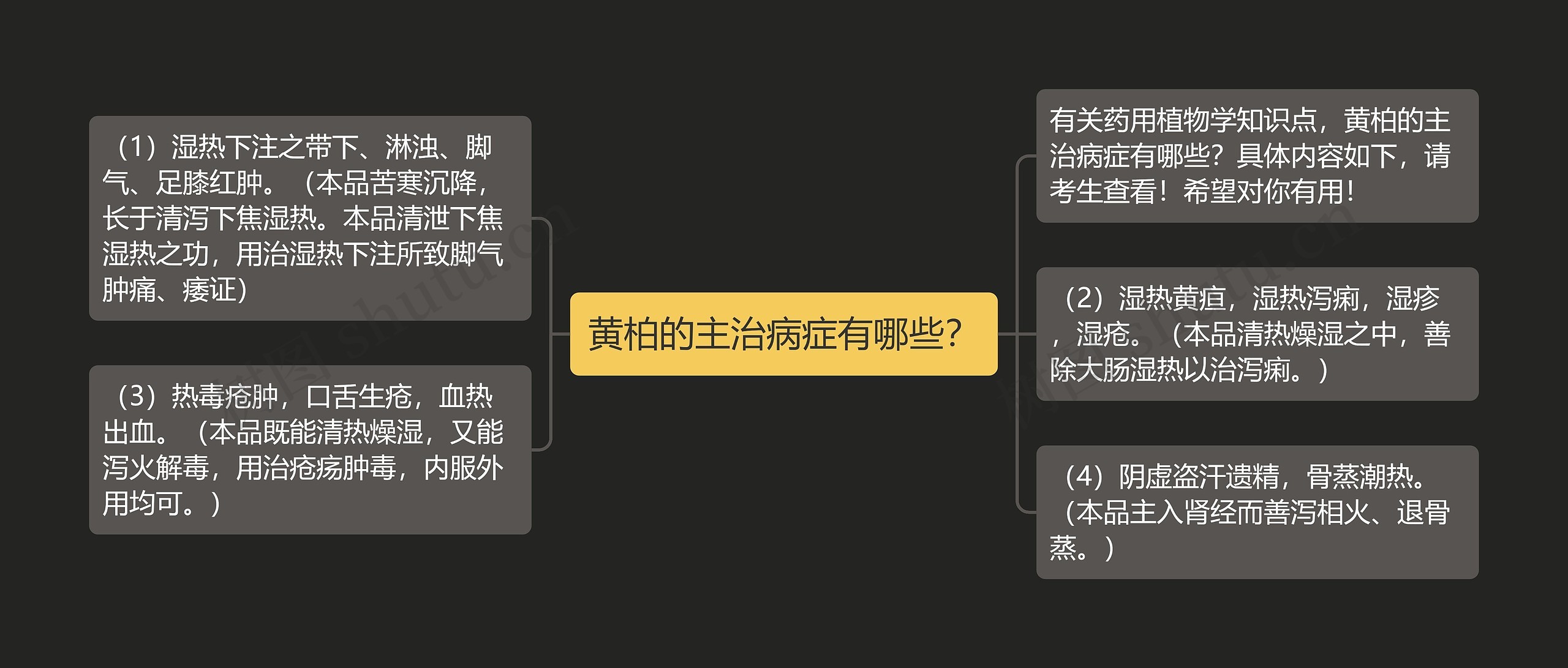 黄柏的主治病症有哪些？思维导图