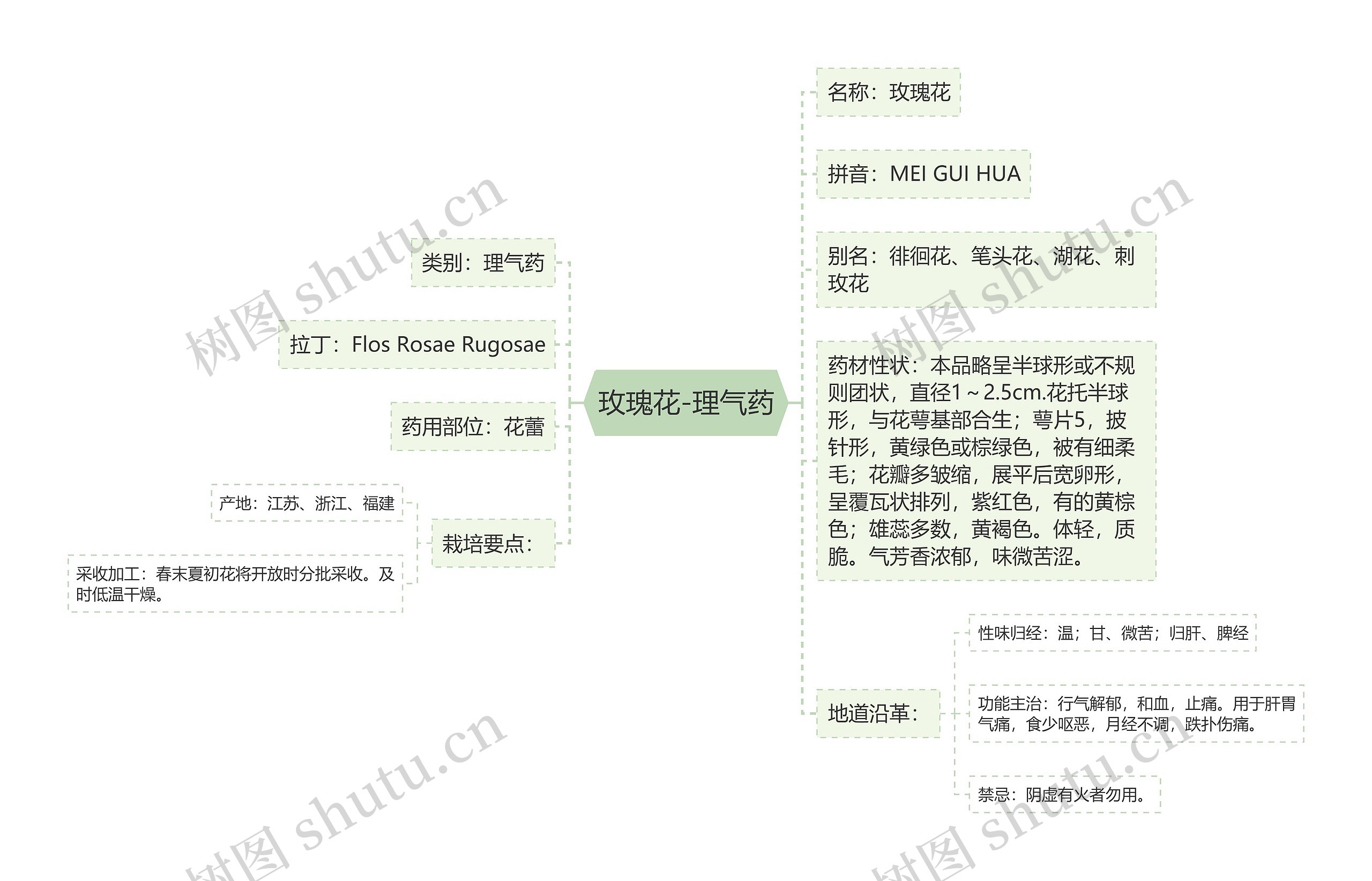 玫瑰花-理气药思维导图