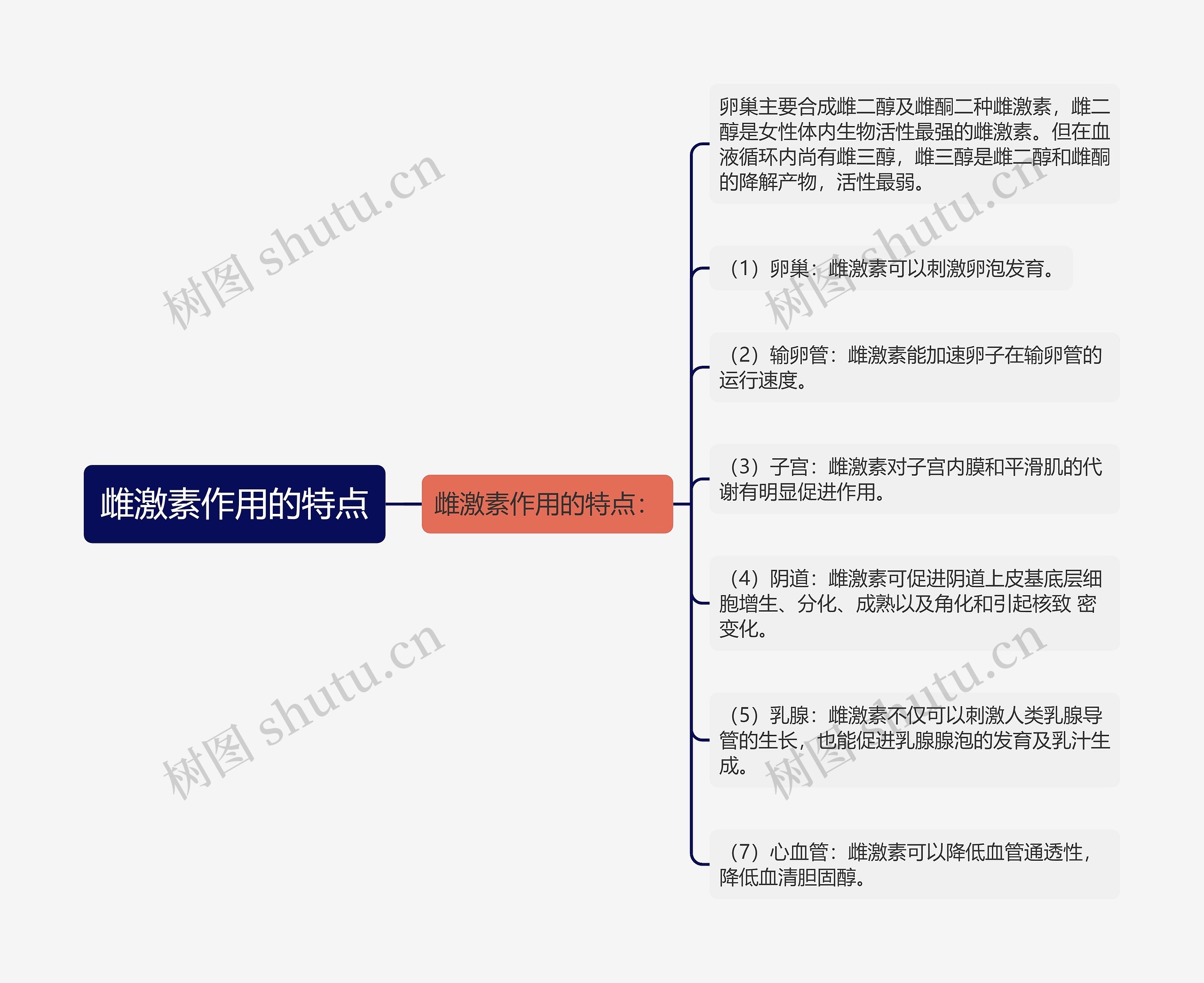 雌激素作用的特点思维导图