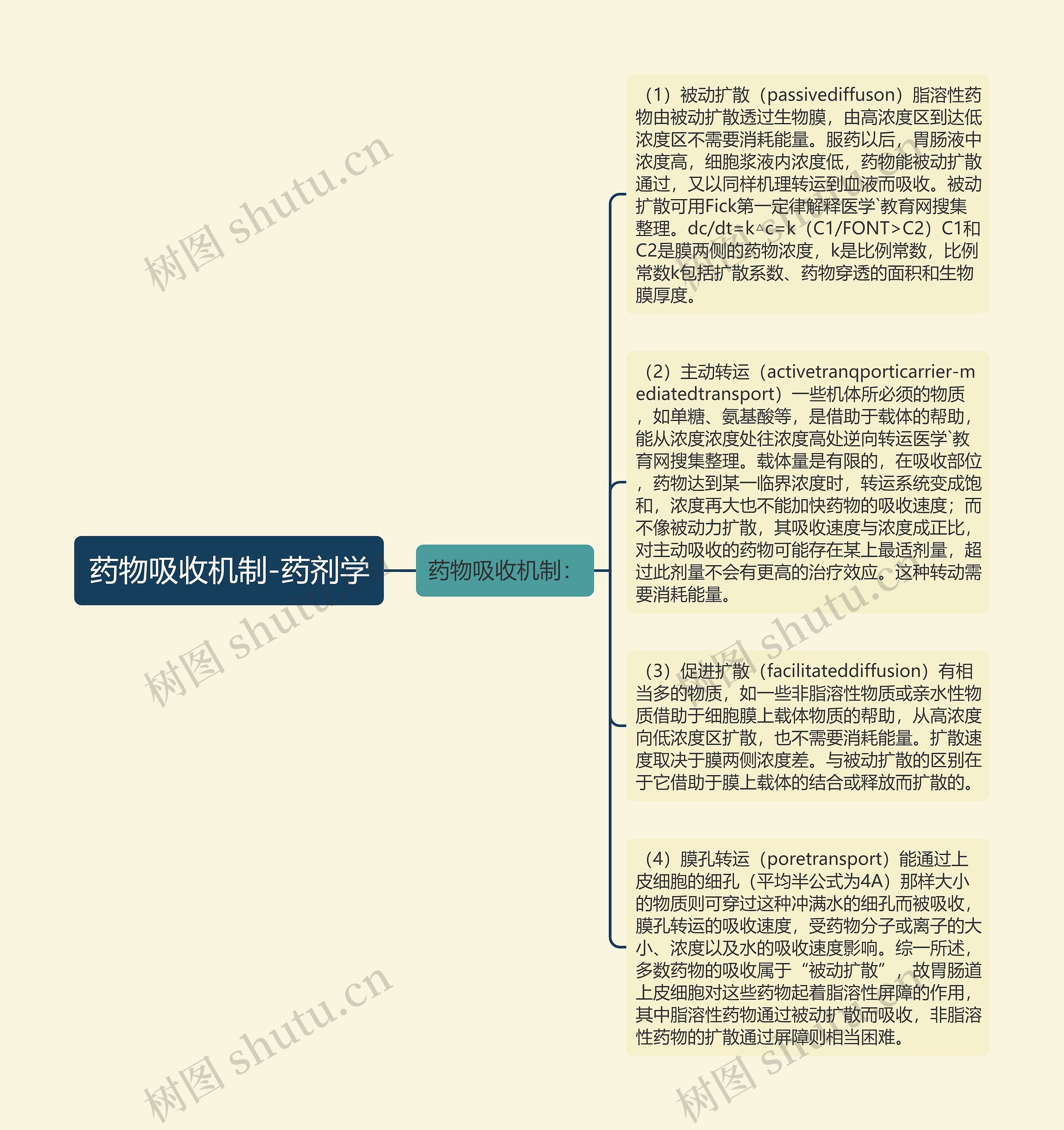 药物吸收机制-药剂学思维导图