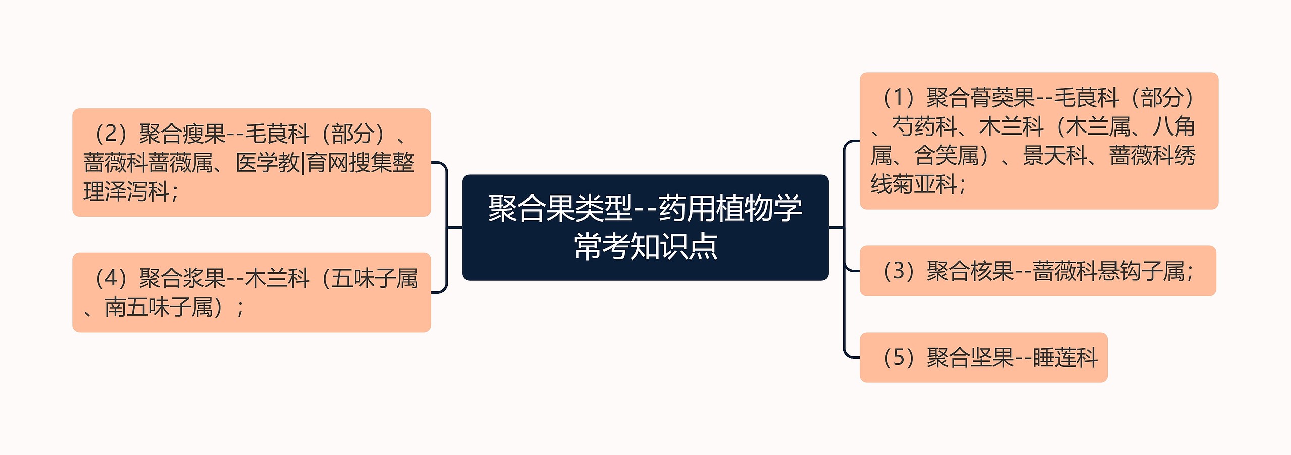 聚合果类型--药用植物学常考知识点 聚合果类型--药用植物学常考知识点