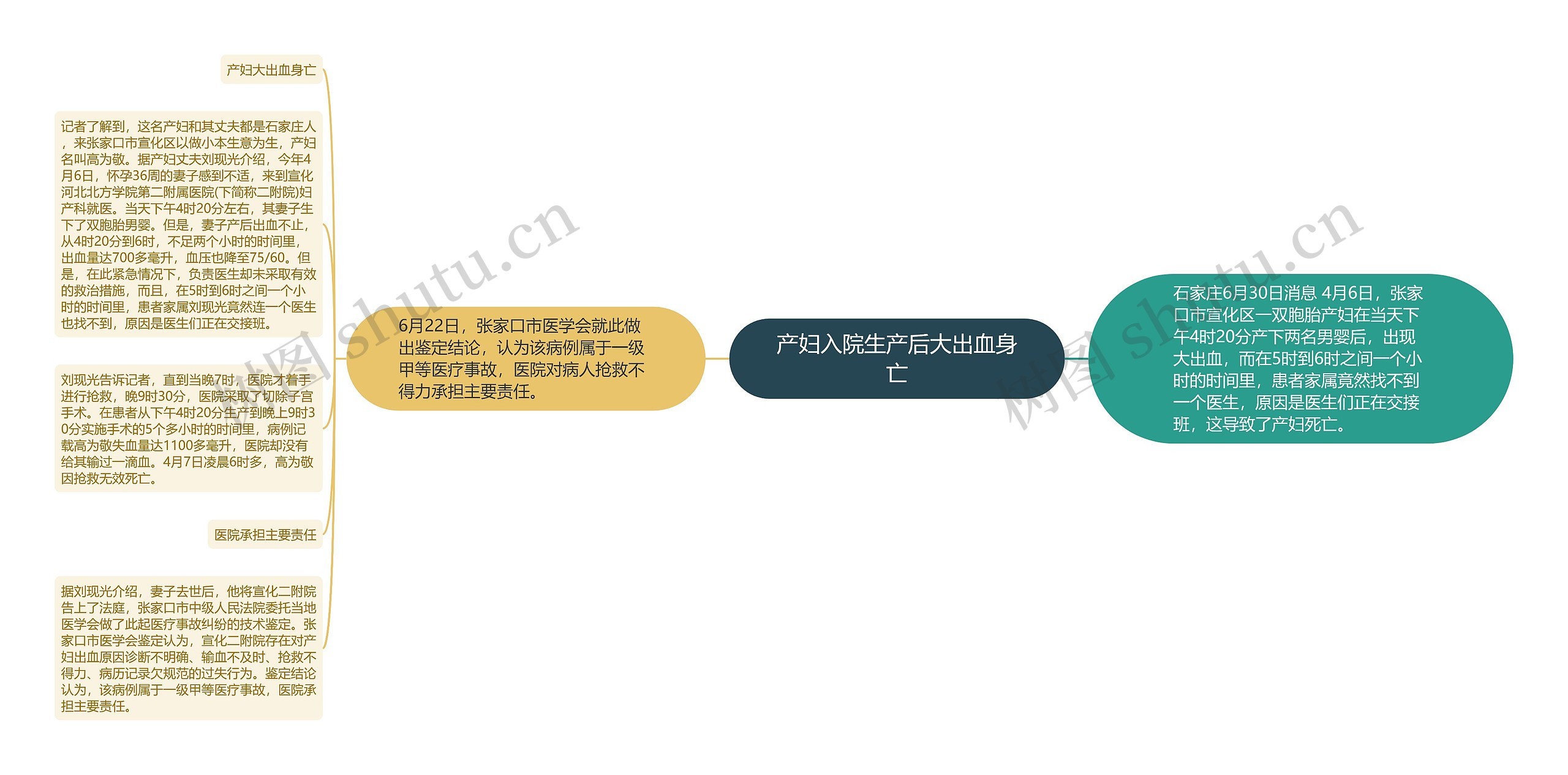 产妇入院生产后大出血身亡