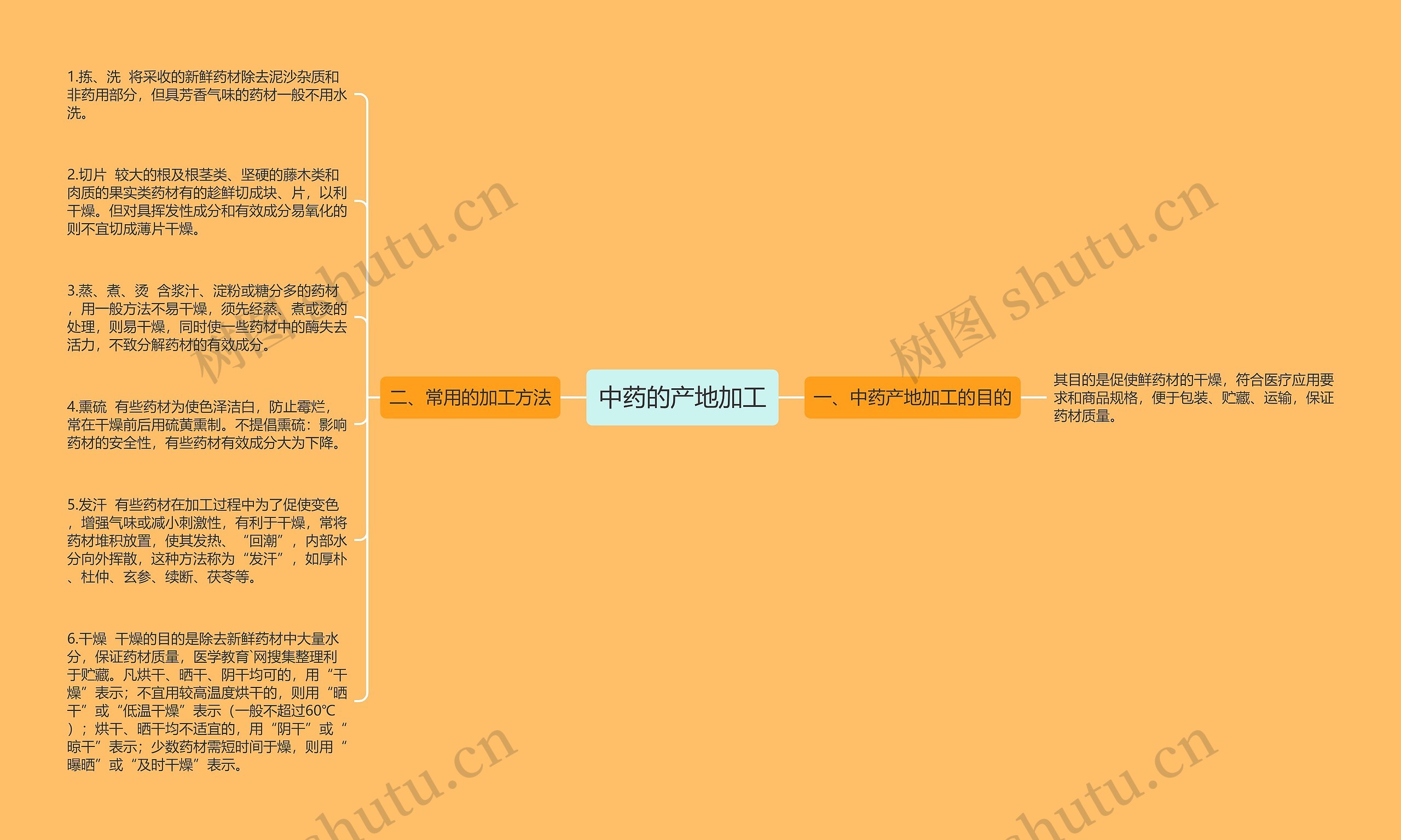 中药的产地加工思维导图