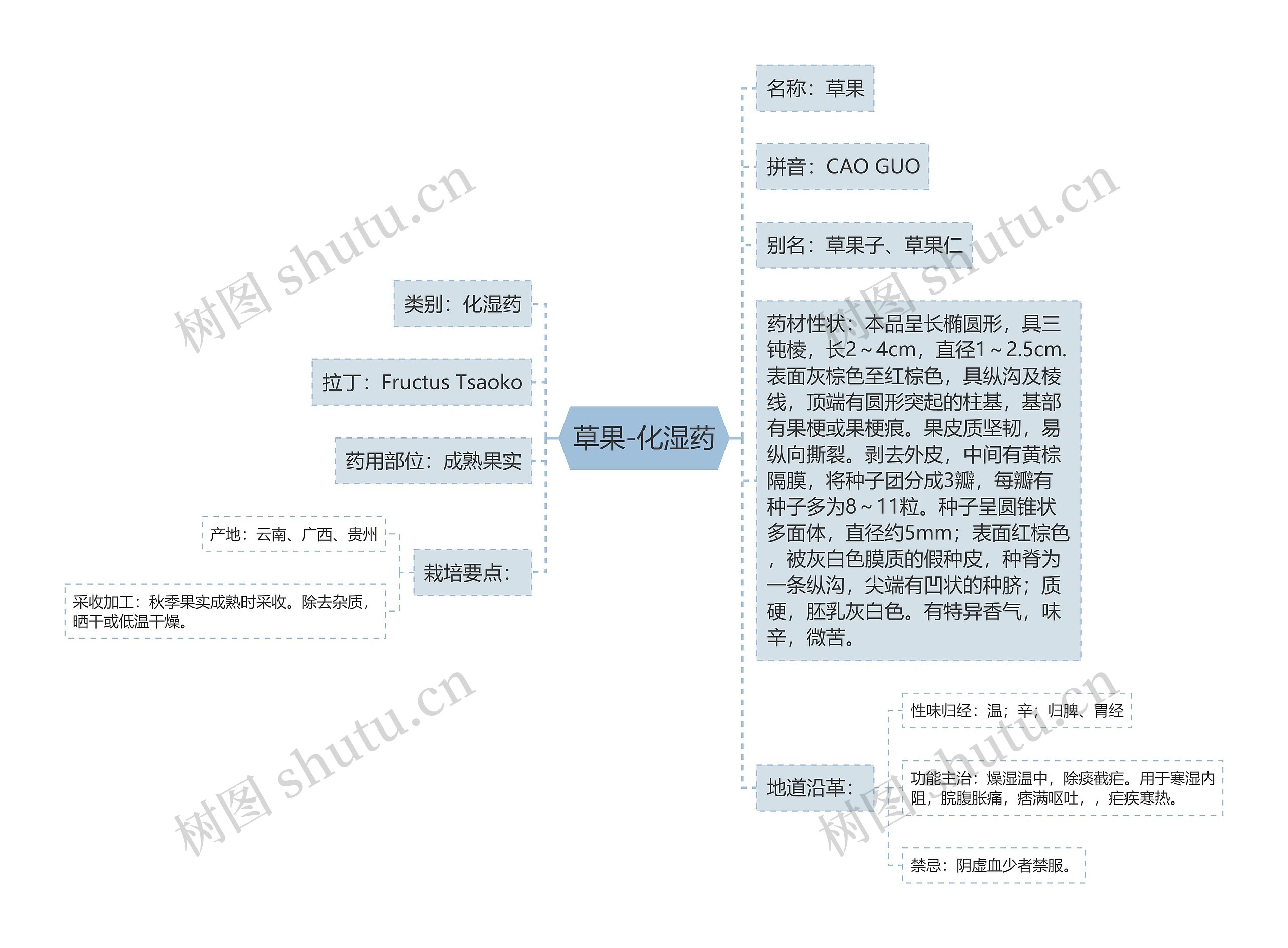 草果-化湿药思维导图