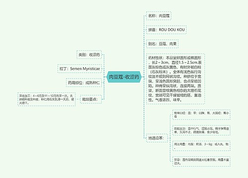 肉豆蔻-收涩药