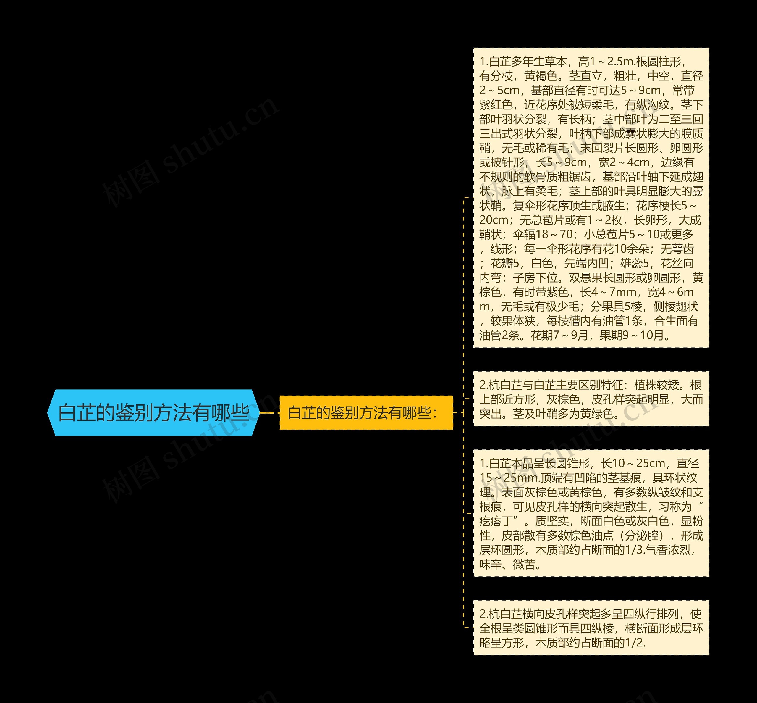 白芷的鉴别方法有哪些