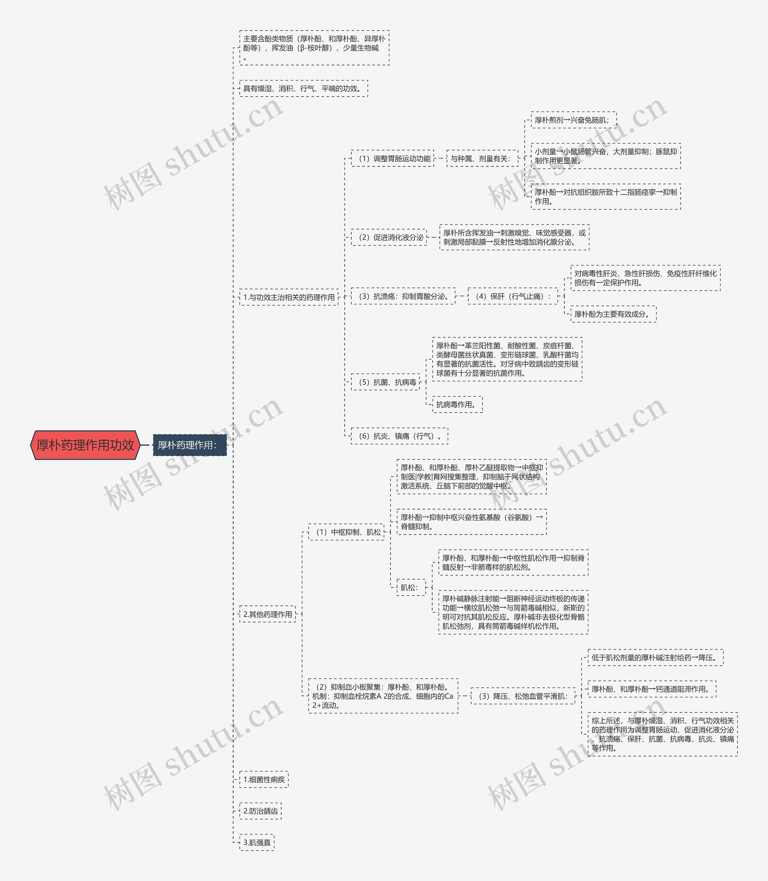 厚朴药理作用功效 厚朴药理作用功效