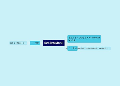 水牛角炮制介绍思维导图