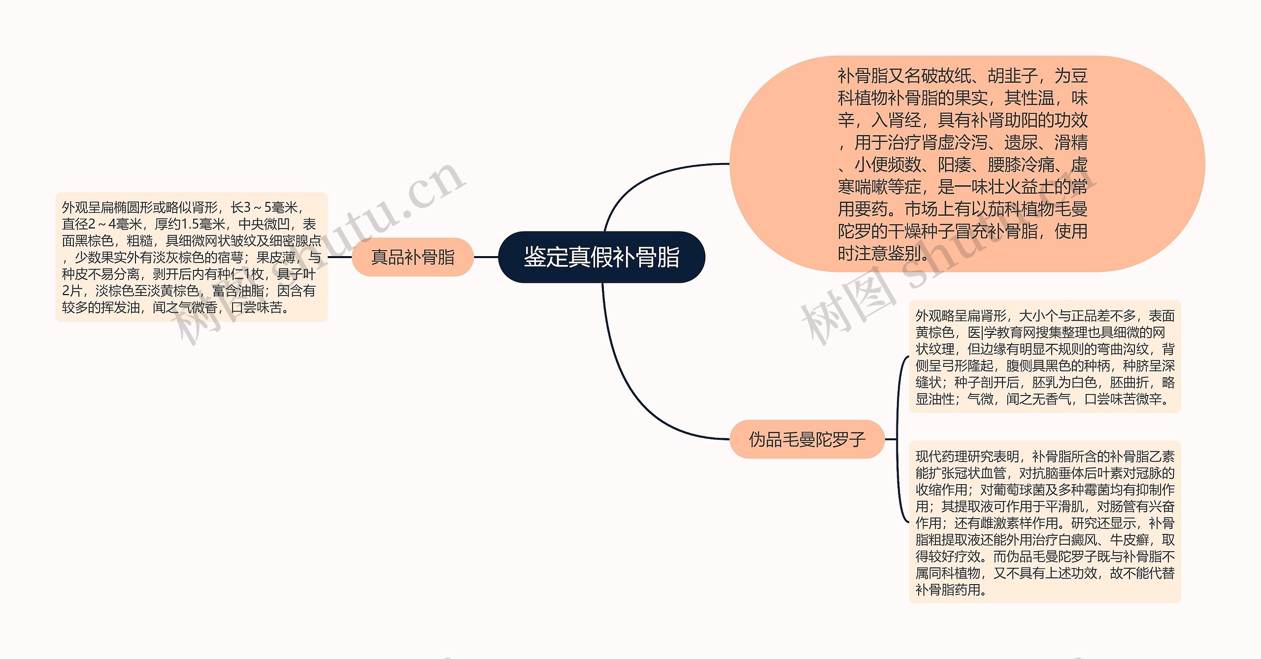 鉴定真假补骨脂思维导图