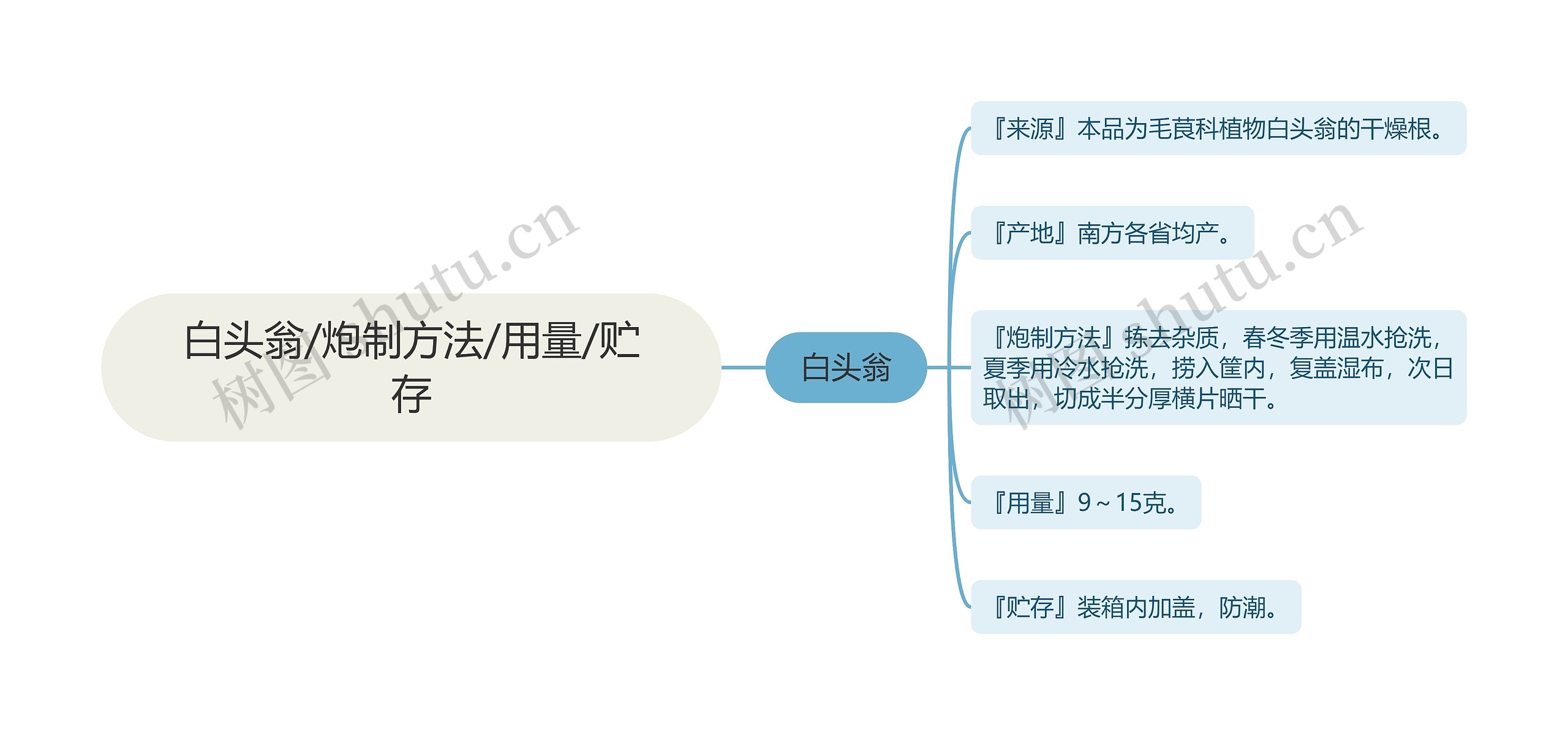 白头翁/炮制方法/用量/贮存思维导图