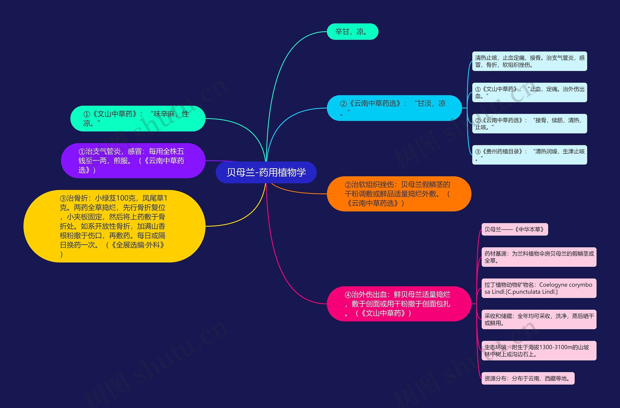 贝母兰-药用植物学 贝母兰-药用植物学