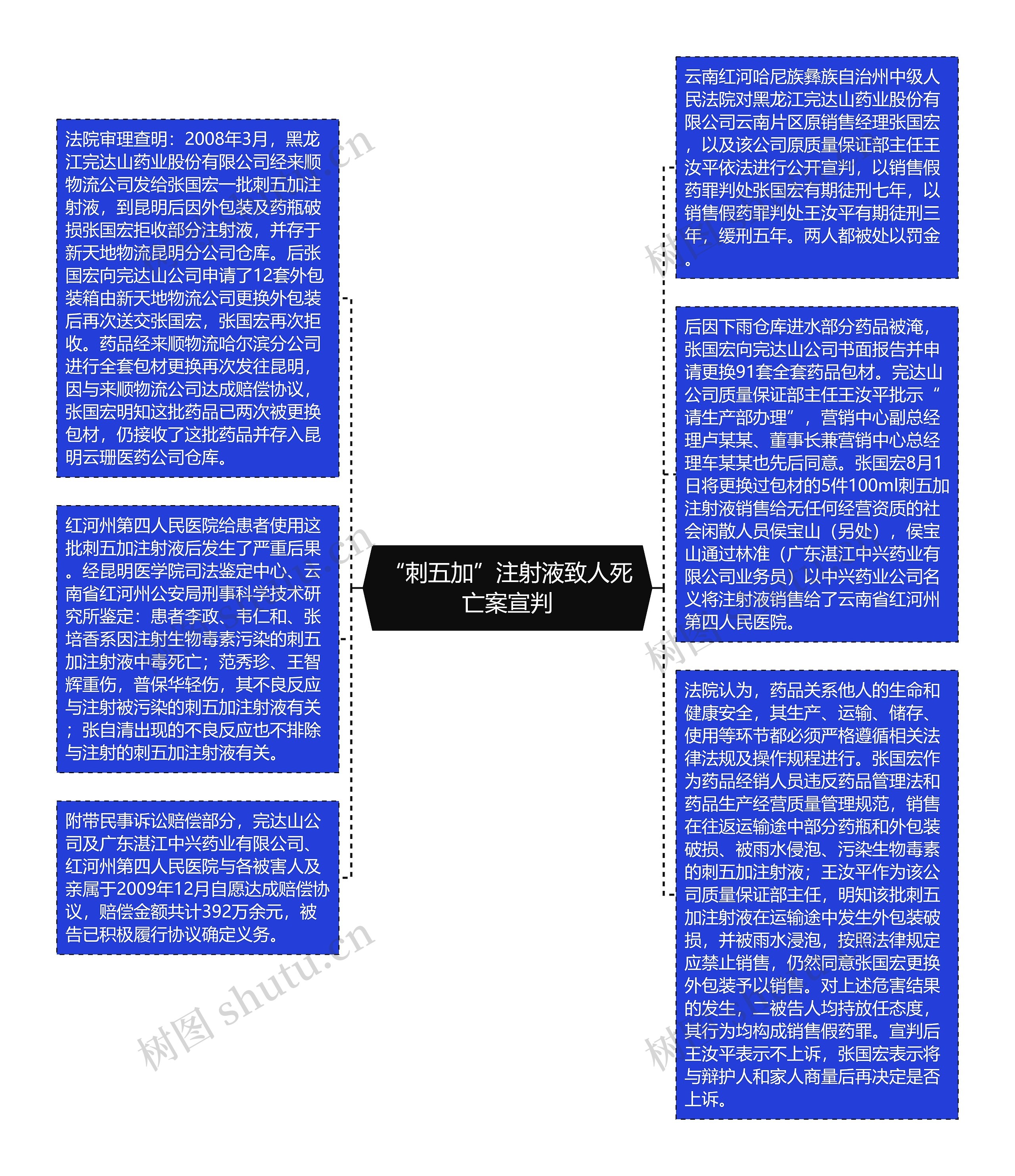 “刺五加”注射液致人死亡案宣判思维导图