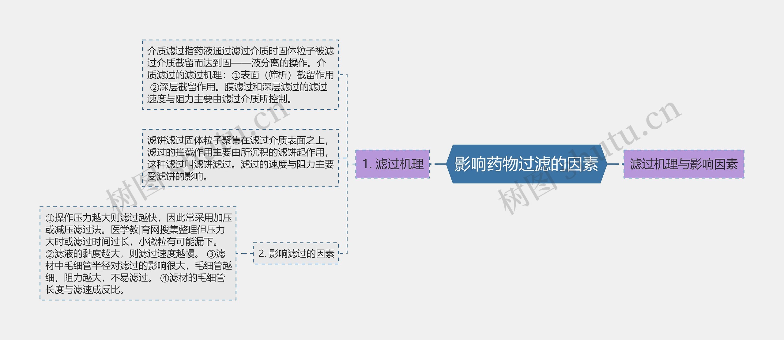 影响药物过滤的因素思维导图