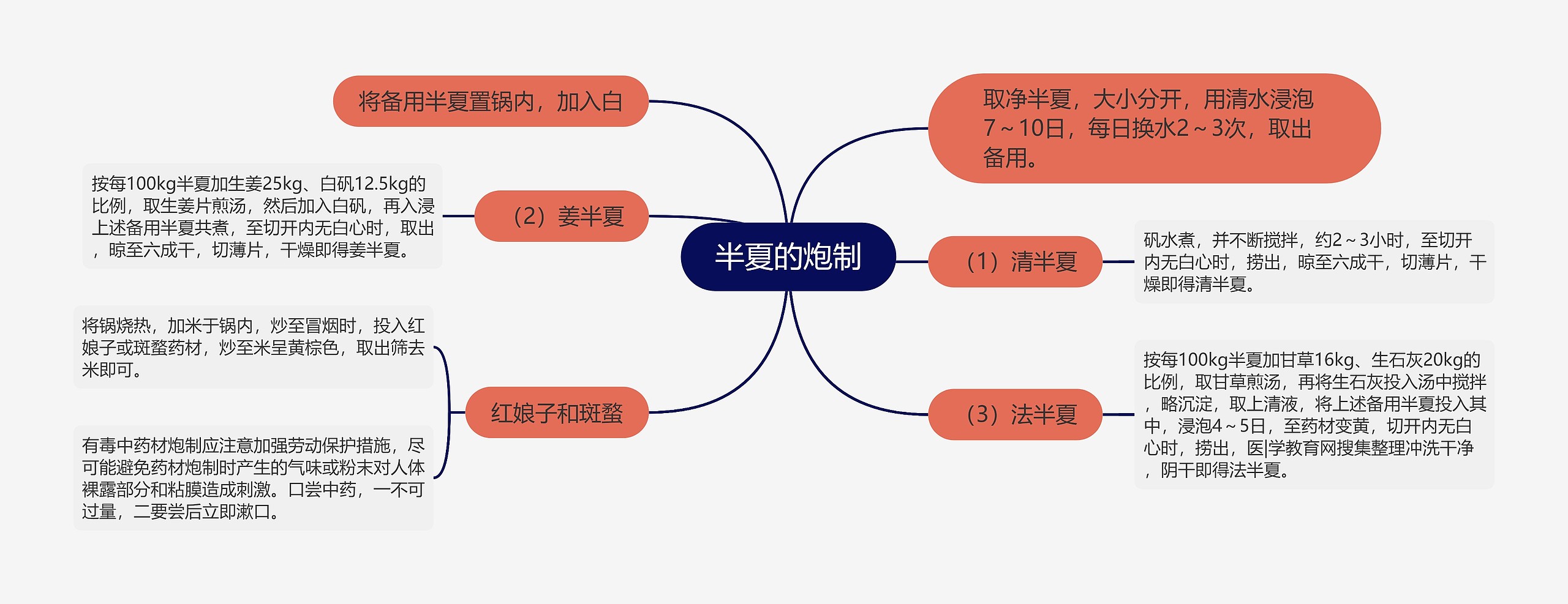 半夏的炮制思维导图