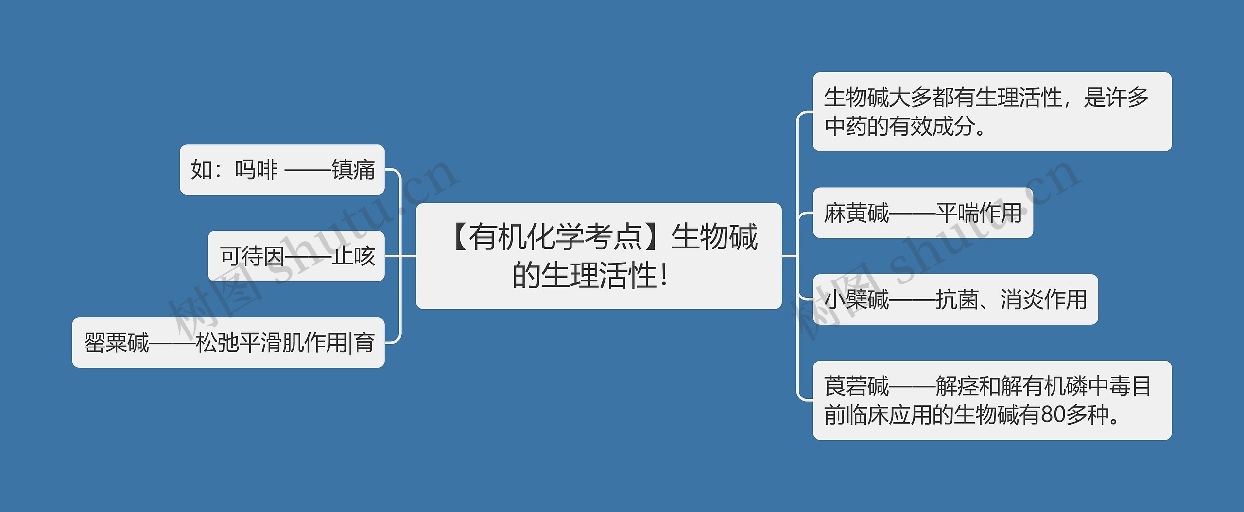 【有机化学考点】生物碱的生理活性！