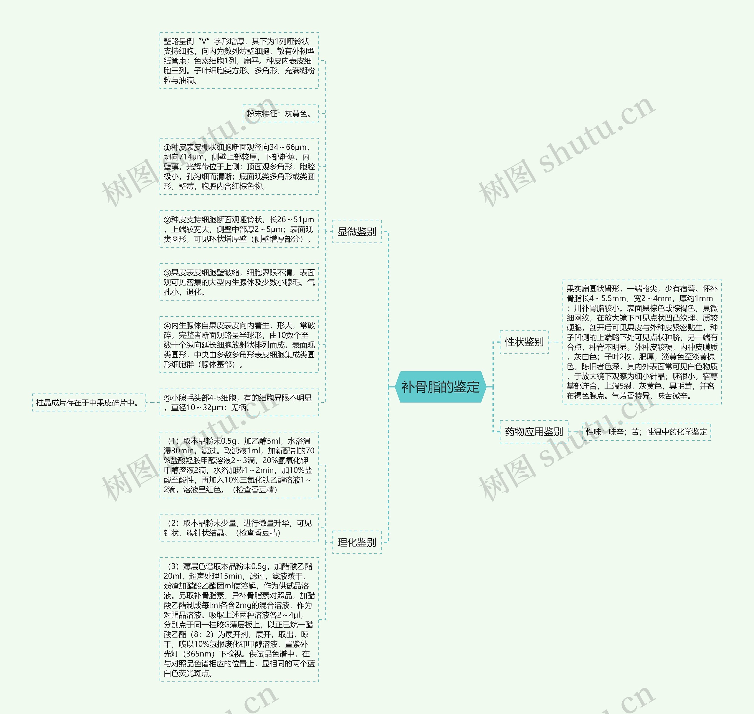 补骨脂的鉴定思维导图