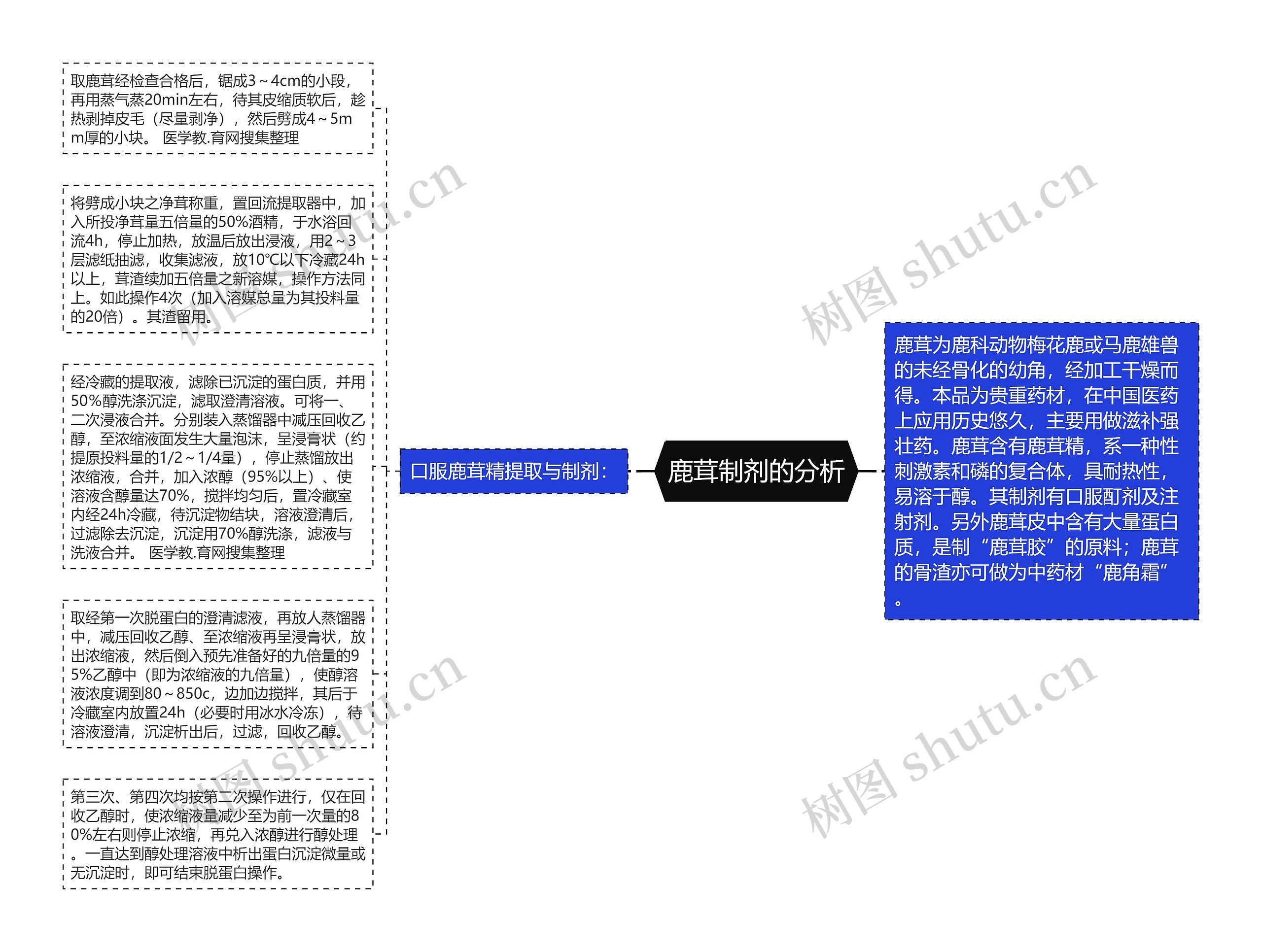 鹿茸制剂的分析思维导图