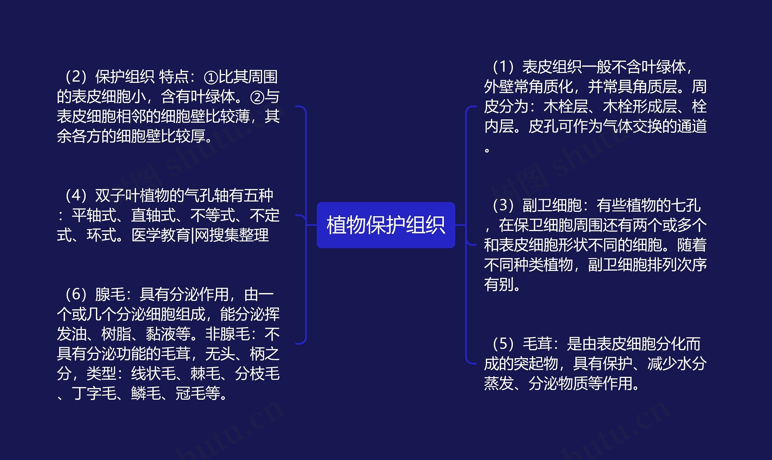 植物保护组织