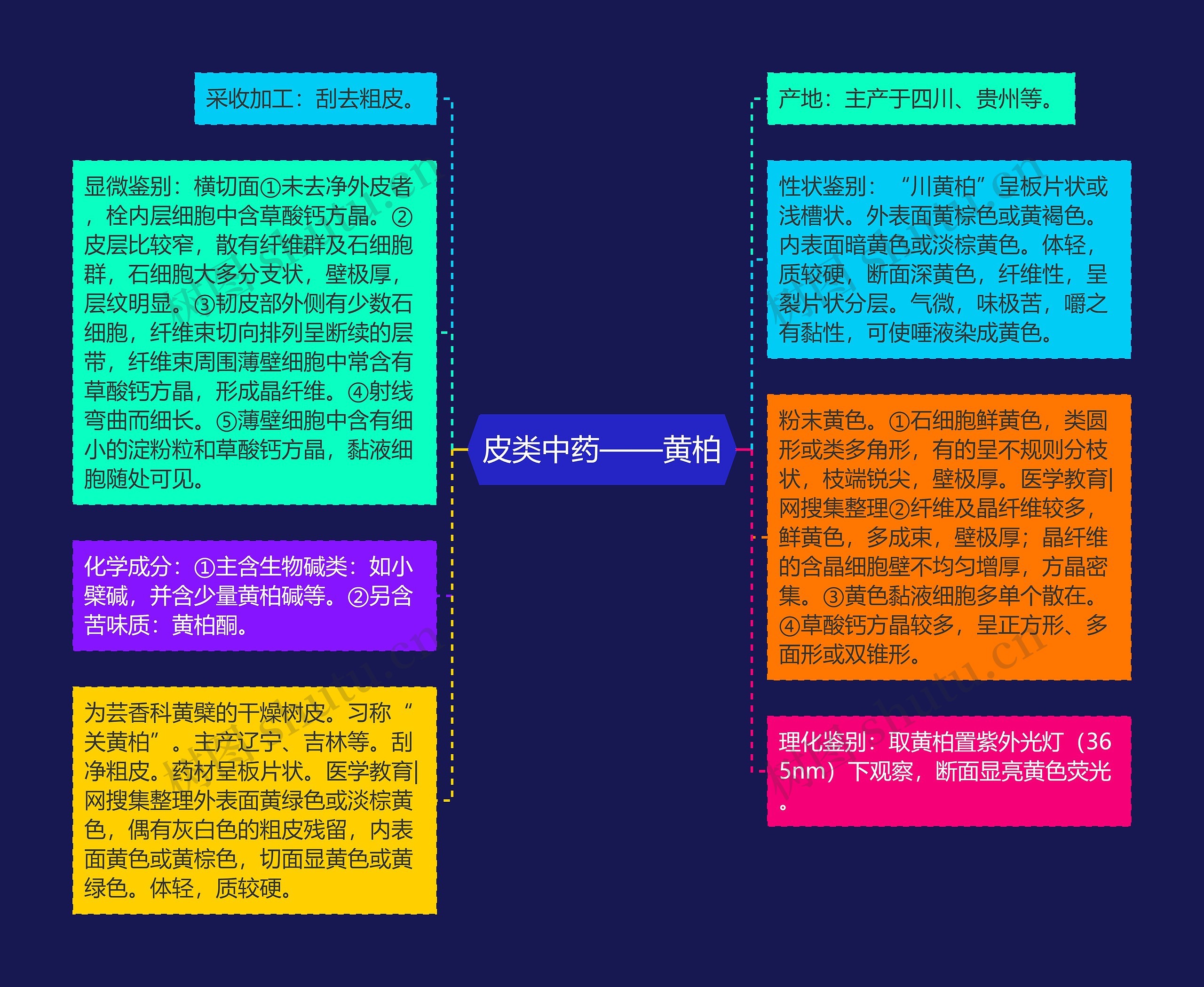 皮类中药——黄柏 皮类中药——黄柏