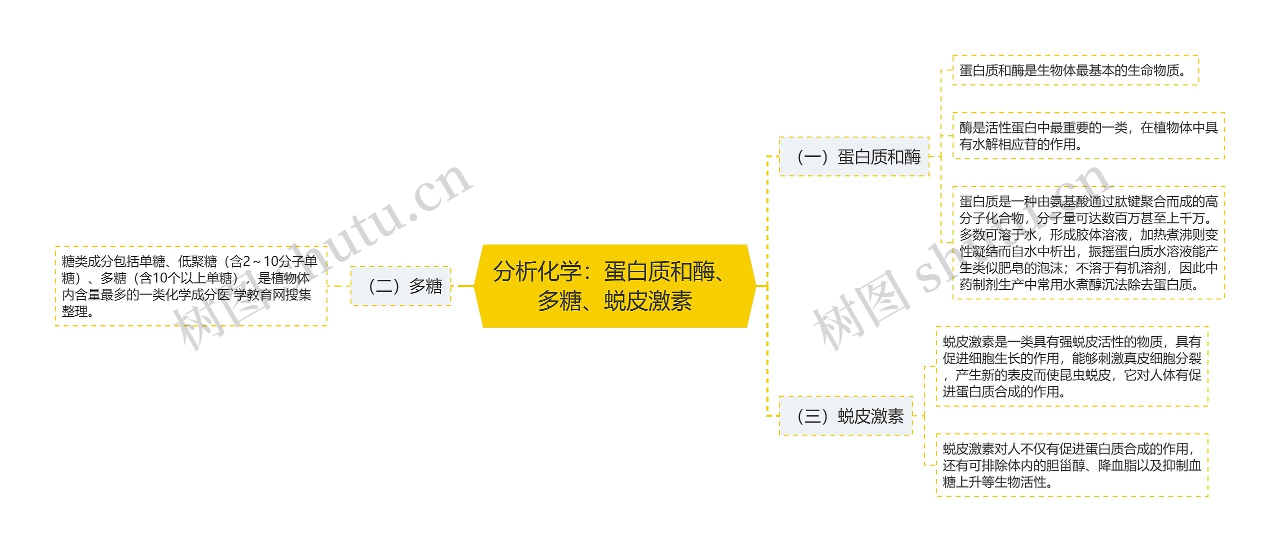 分析化学：蛋白质和酶、多糖、蜕皮激素思维导图