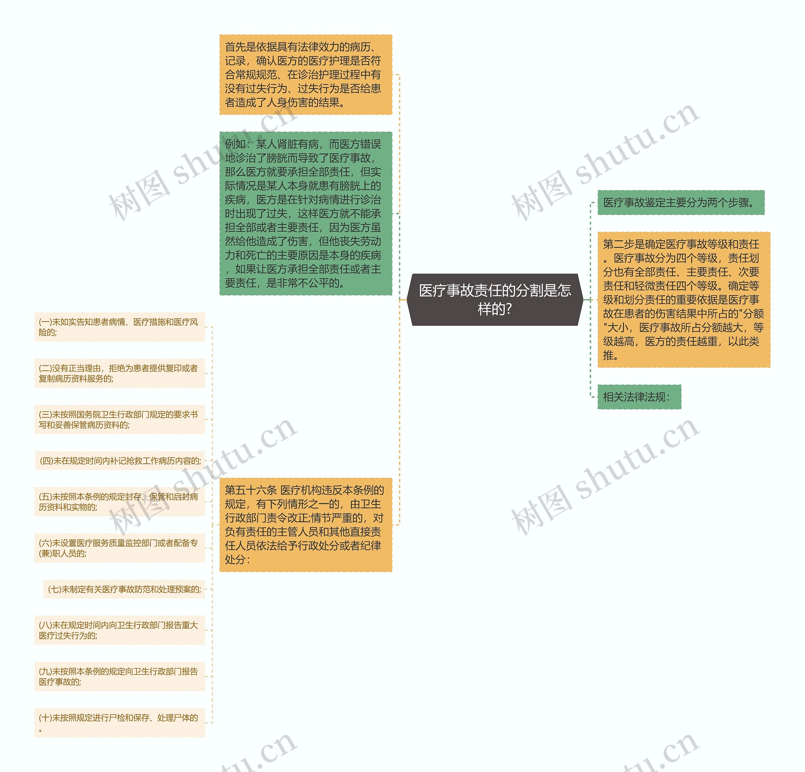 医疗事故责任的分割是怎样的?思维导图