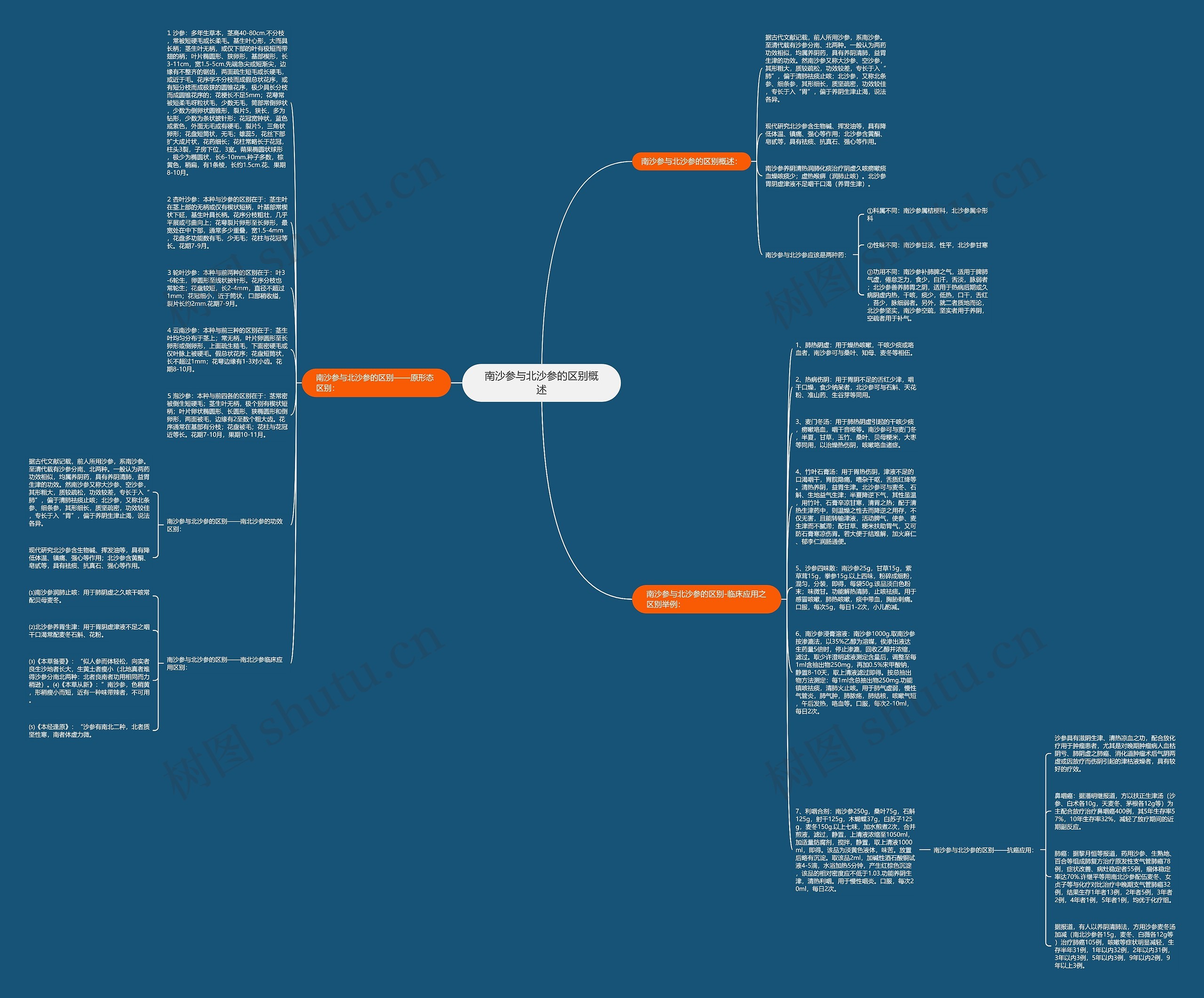 南沙参与北沙参的区别概述思维导图