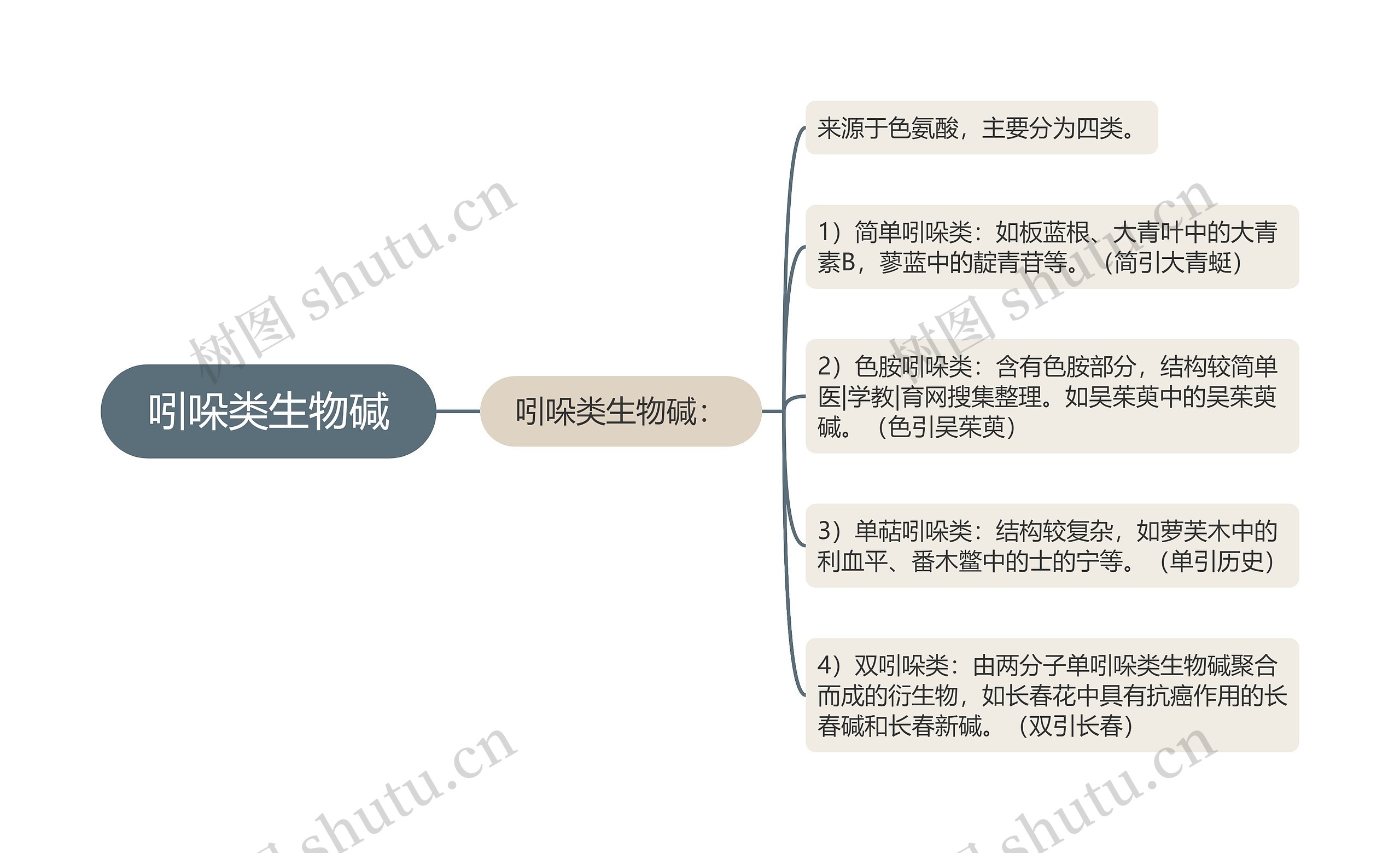 吲哚类生物碱思维导图