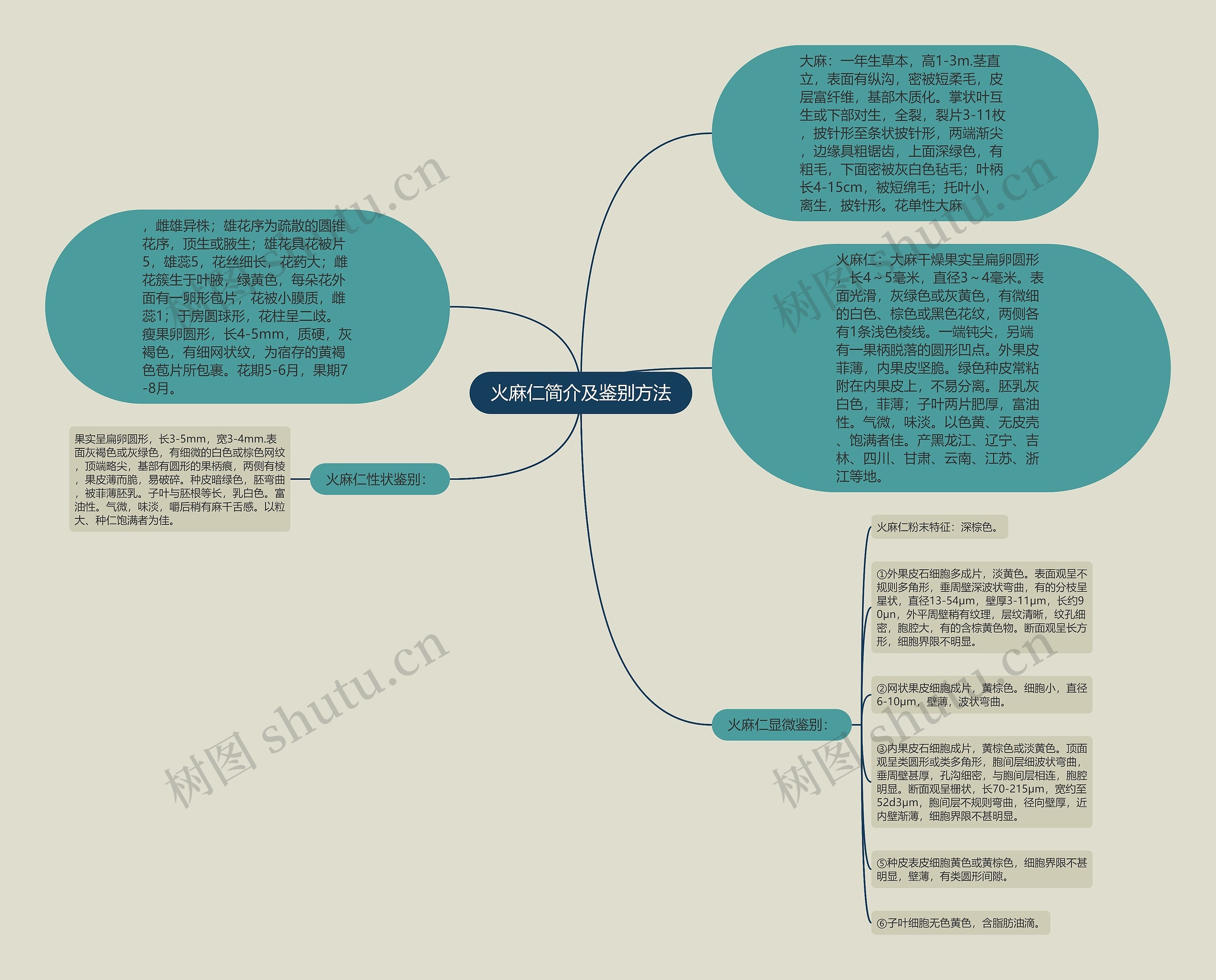 火麻仁简介及鉴别方法思维导图